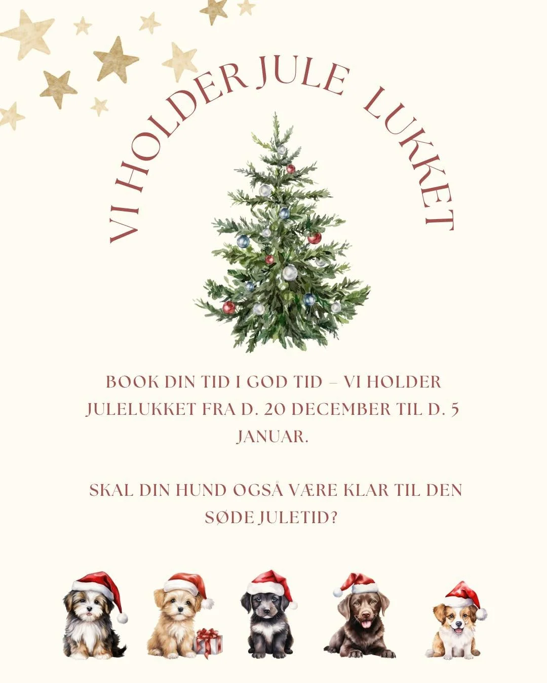 ✨ Vi holder julelukket fra d. 20. december til d. 5. januar ✨
Skal din bedste ven nå at blive juleklar – eller måske forkæles inden det nye år? 🐶💛
Vi har allerede travlt i kalenderen, så skynd dig at booke din t