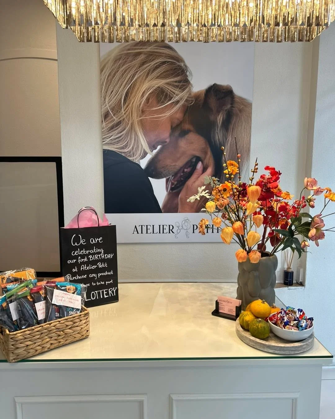 🎉 F&Oslash;DSELSDAGS-KONKURRENCE 🎉

AtelierPetit fylder 1 &aring;r &ndash; og det fejrer vi med en fork&aelig;lende konkurrence! 🐾✨

N&aring;r du k&oslash;ber et valgfrit produkt i salonen, kan du deltage i vores f&oslash;dselsdags-lotteri 🎁

Vi 