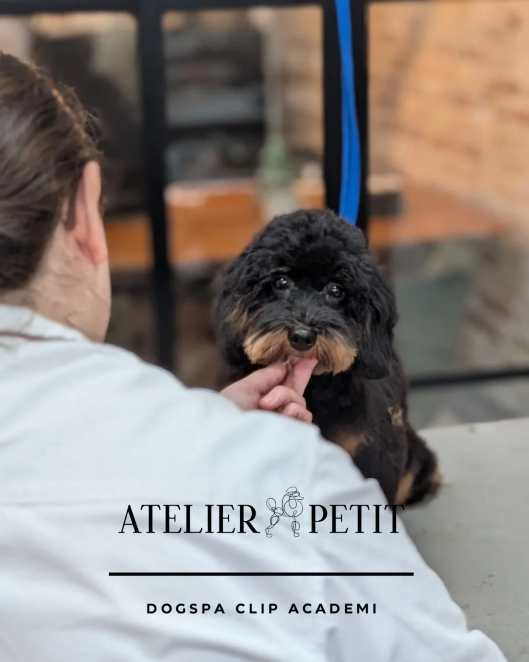 I dag har vi haft s&oslash;deste Atlas forbi ✂️
Et bes&oslash;g med god tid og fokus p&aring; de sm&aring; detaljer.