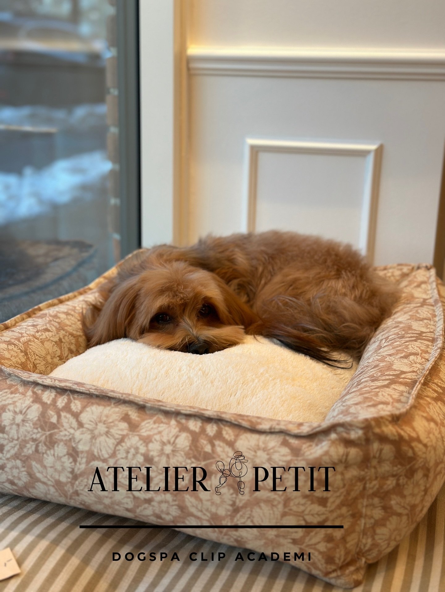 Gl&aelig;delig fredag fra os hos Atelierpetit 🤍

Tusind tak til alle jer, der kiggede forbi i g&aring;r og var med til at fejre &aring;bningen af vores nye lokaler. Det bet&oslash;d virkelig meget for os at dele dagen med s&aring; mange s&oslash;de 