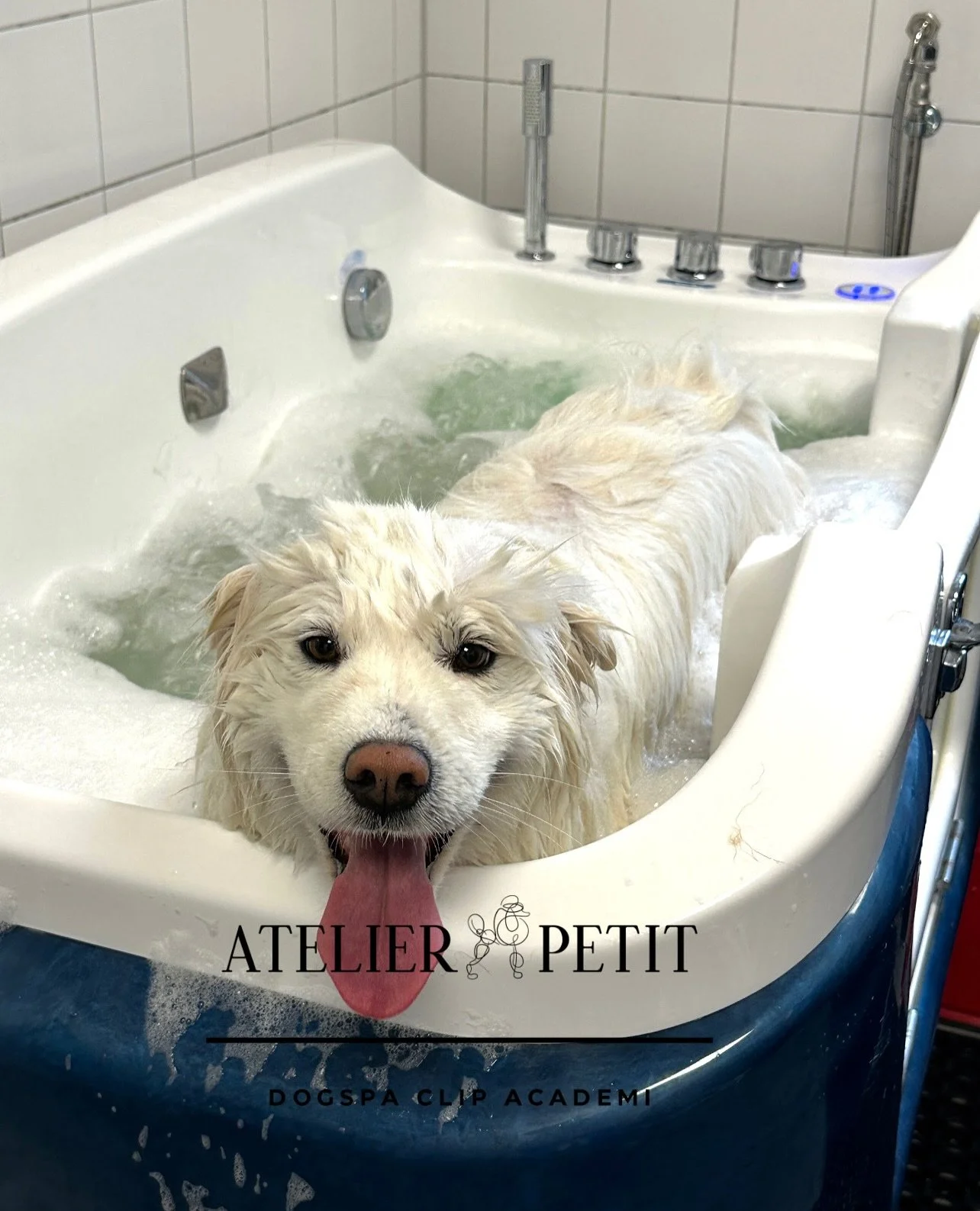Skal din hund fork&aelig;les med spa, bobler og &aelig;teriske olier? 🫧
Hos Atelier Petit f&aring;r din hund en afslappende spaoplevelse, hvor pels og hud bliver plejet i dybden.

Skynd dig at booke en tid &ndash; vi gl&aelig;der os til at fork&aeli
