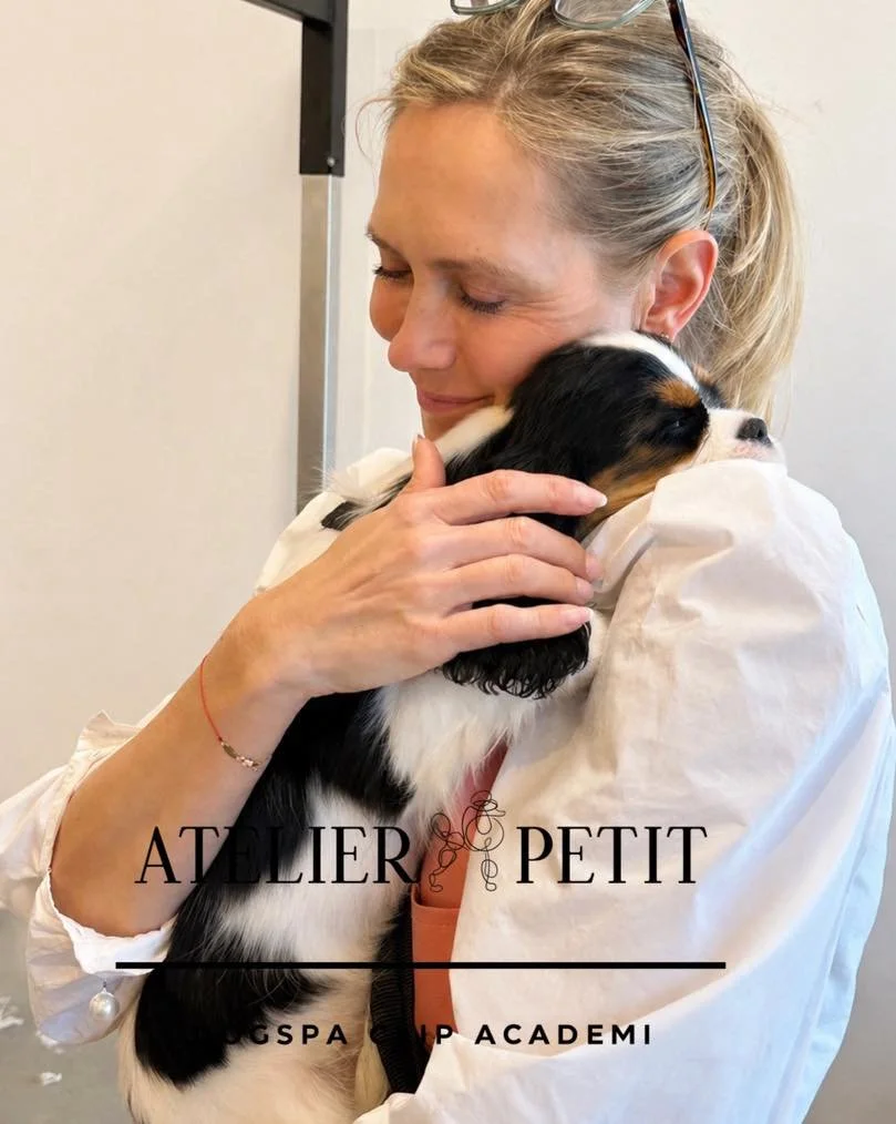 Har din hund angst eller er lidt nerv&oslash;s anlagt? 🐾

Hos os er der plads til alle &ndash; ogs&aring; de lidt mere forsigtige sj&aelig;le 💛
Hos Atelierpetit m&oslash;der vi din hund med ro, omsorg og forst&aring;else for netop dens behov.

Vi t