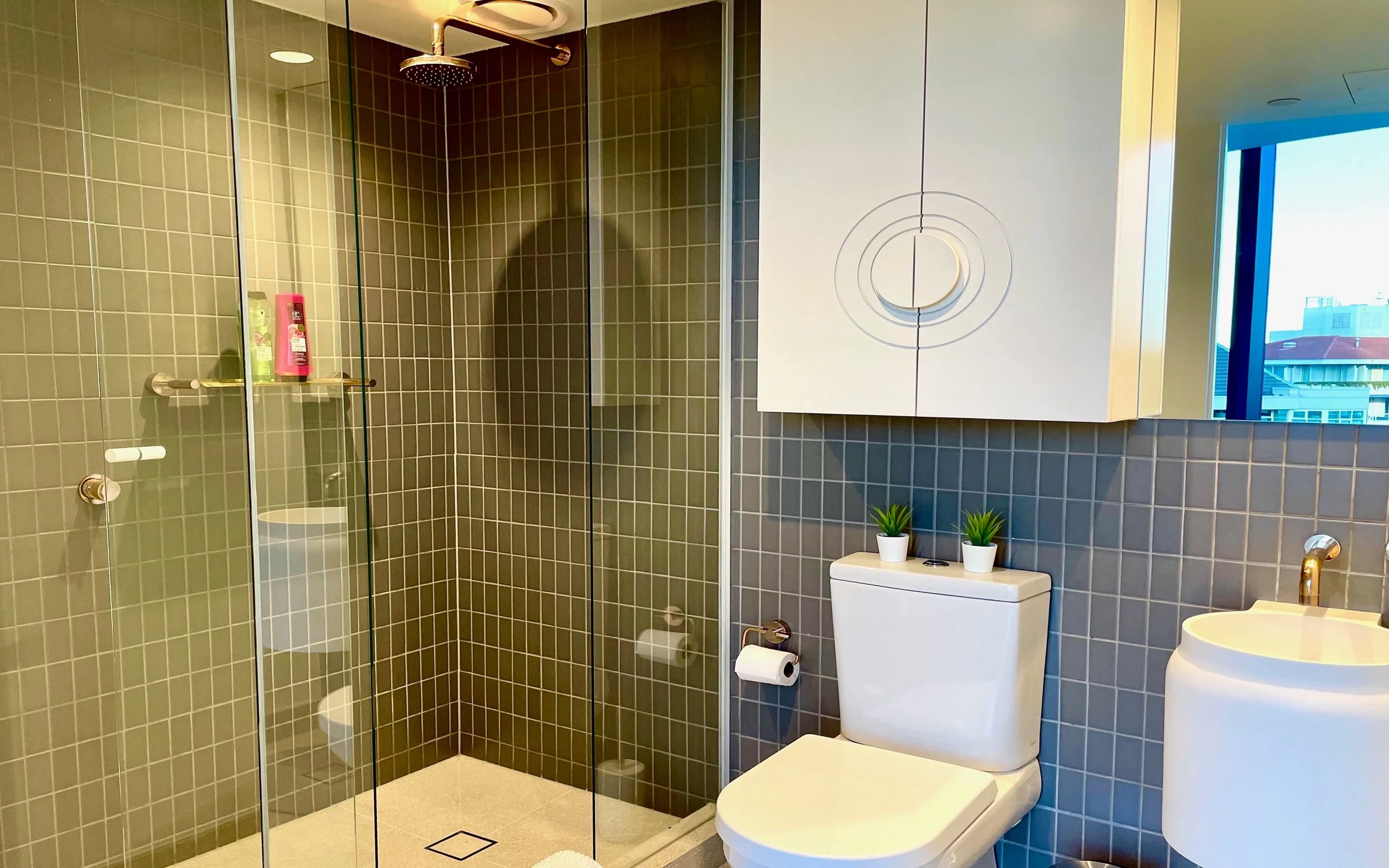 13 Guest Bathroom.jpeg