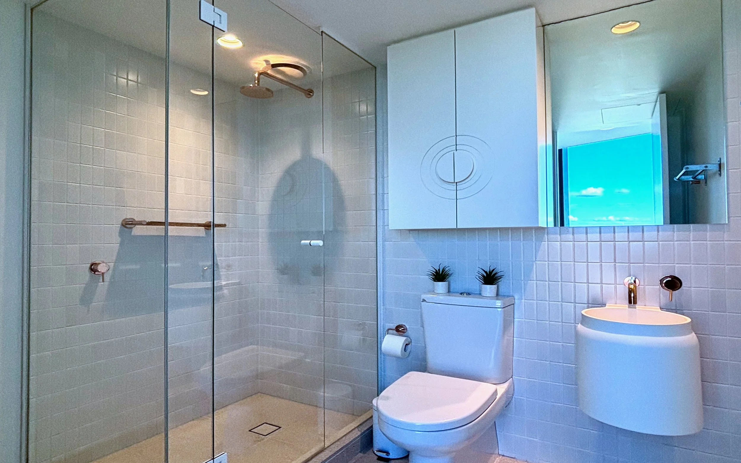 SY 1402 Guest Bathroom.jpeg