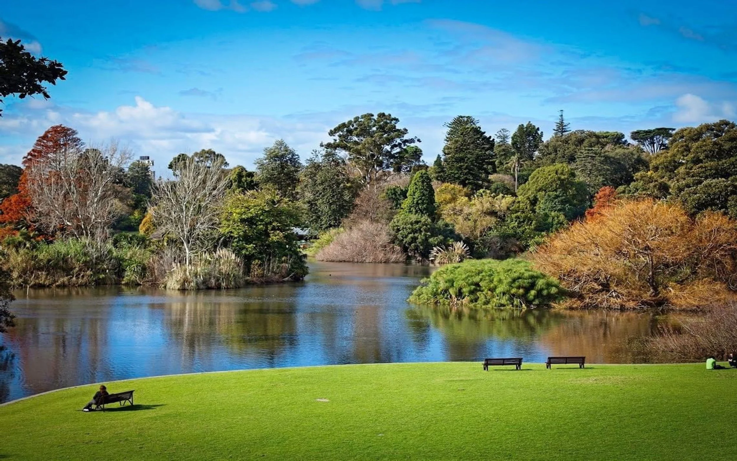 17 Royal Botanic Gardens Melb.jpeg
