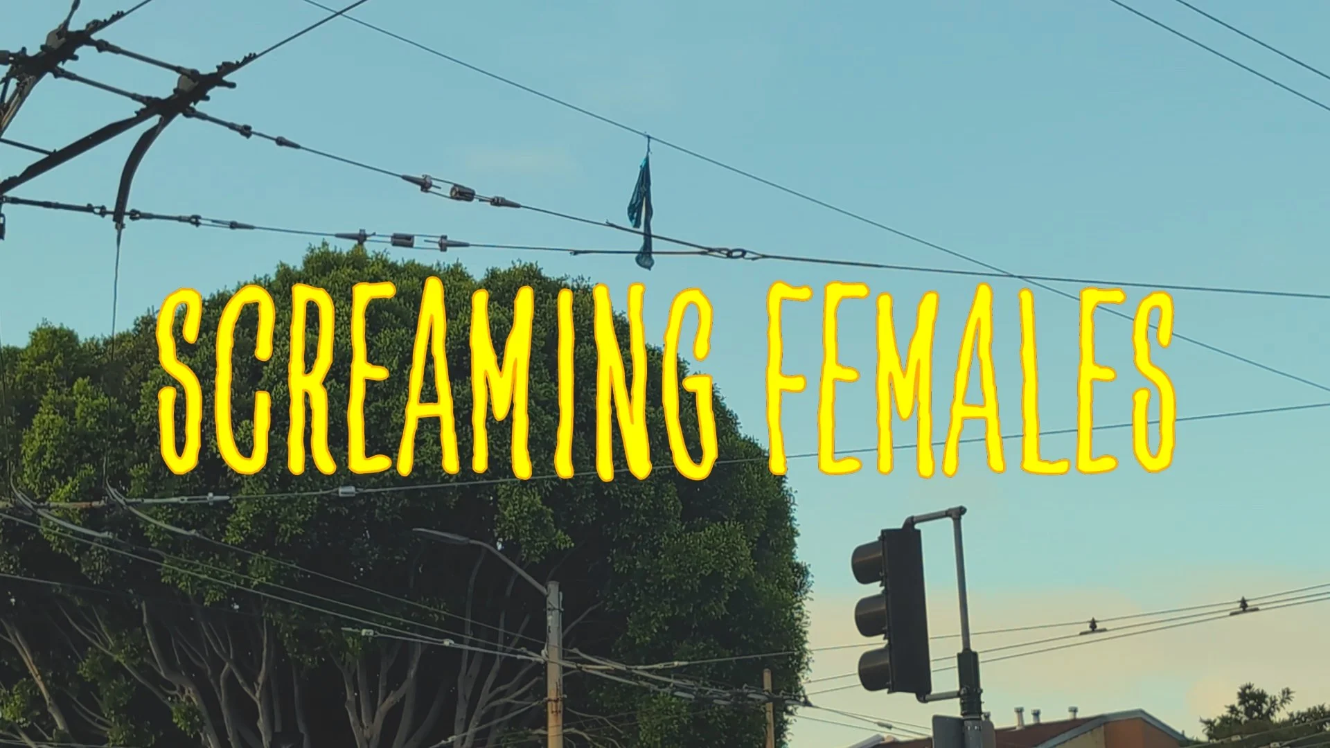 Wishing Well by Screaming Females (Fan Lyric Video)