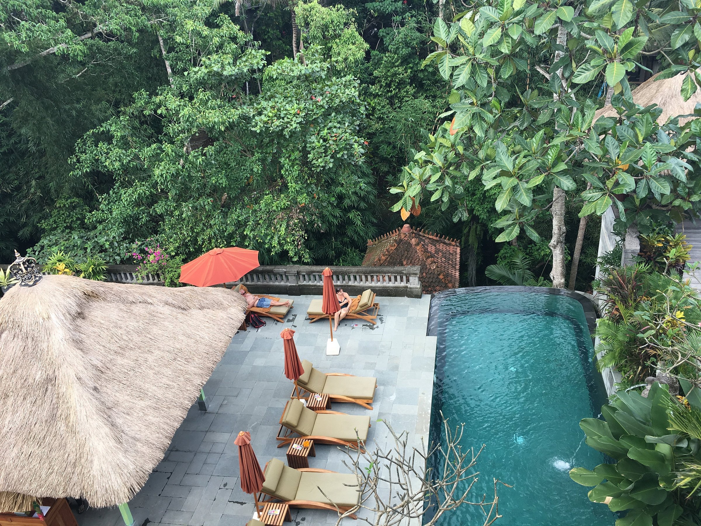 alaya-resort-jembawan.jpg