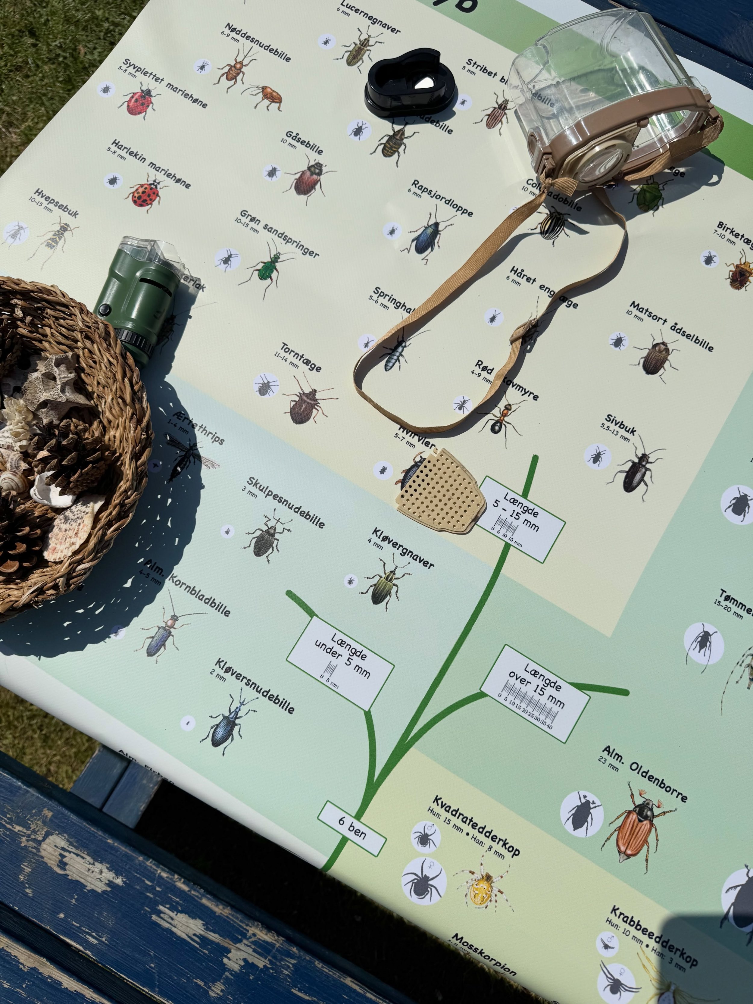 🌿 M&oslash;d Bisgaard og Foreningen Forte p&aring; Sams&oslash; R&aring;varefestival 🌿

Den 13. og 14. juni finder du os p&aring; @samsoraavarefestival, hvor vi gl&aelig;der os til at fort&aelig;lle om Bisgaard &ndash; Sams&oslash;s natursamlingsst