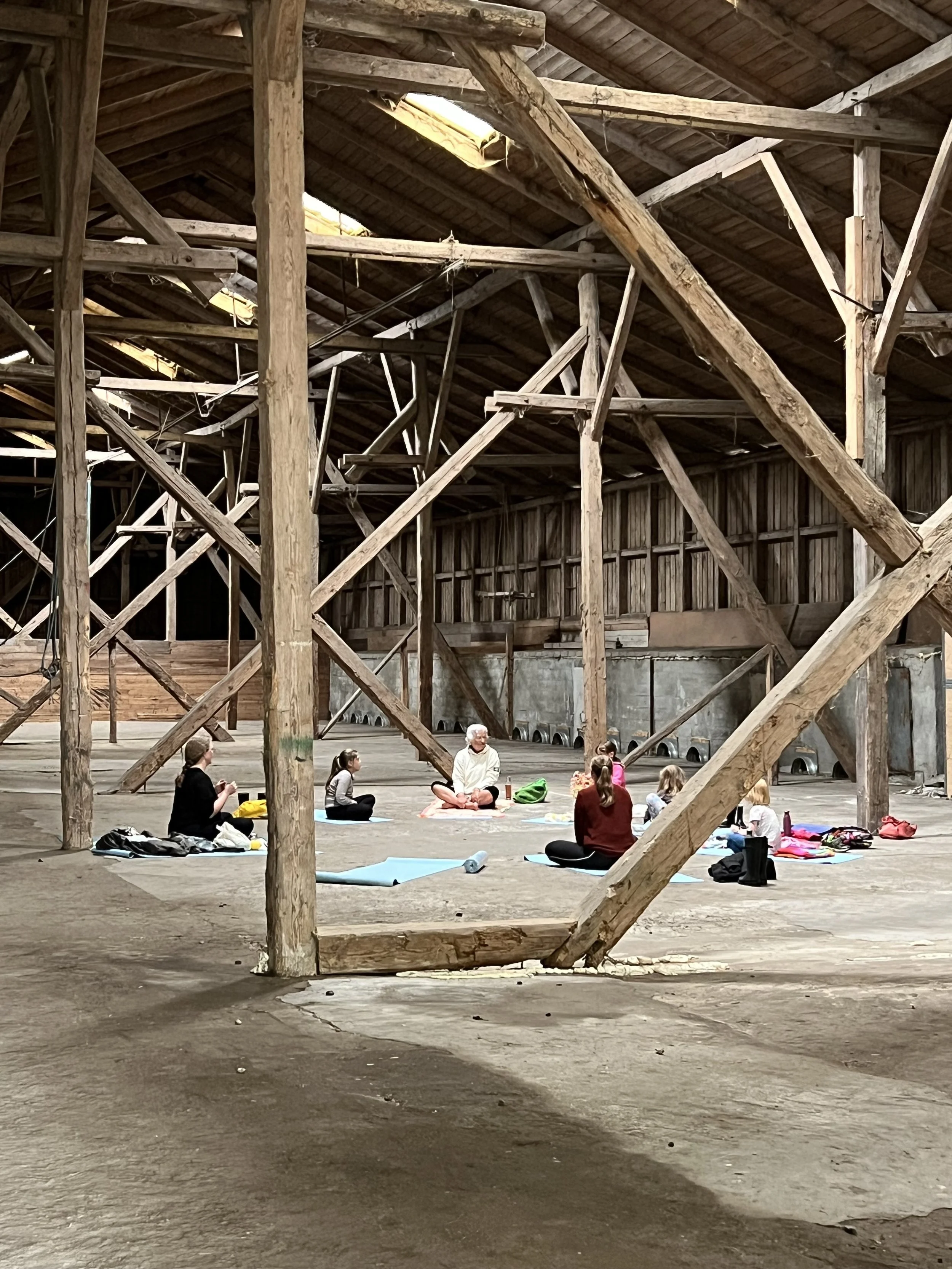 Yoga i laden.jpg