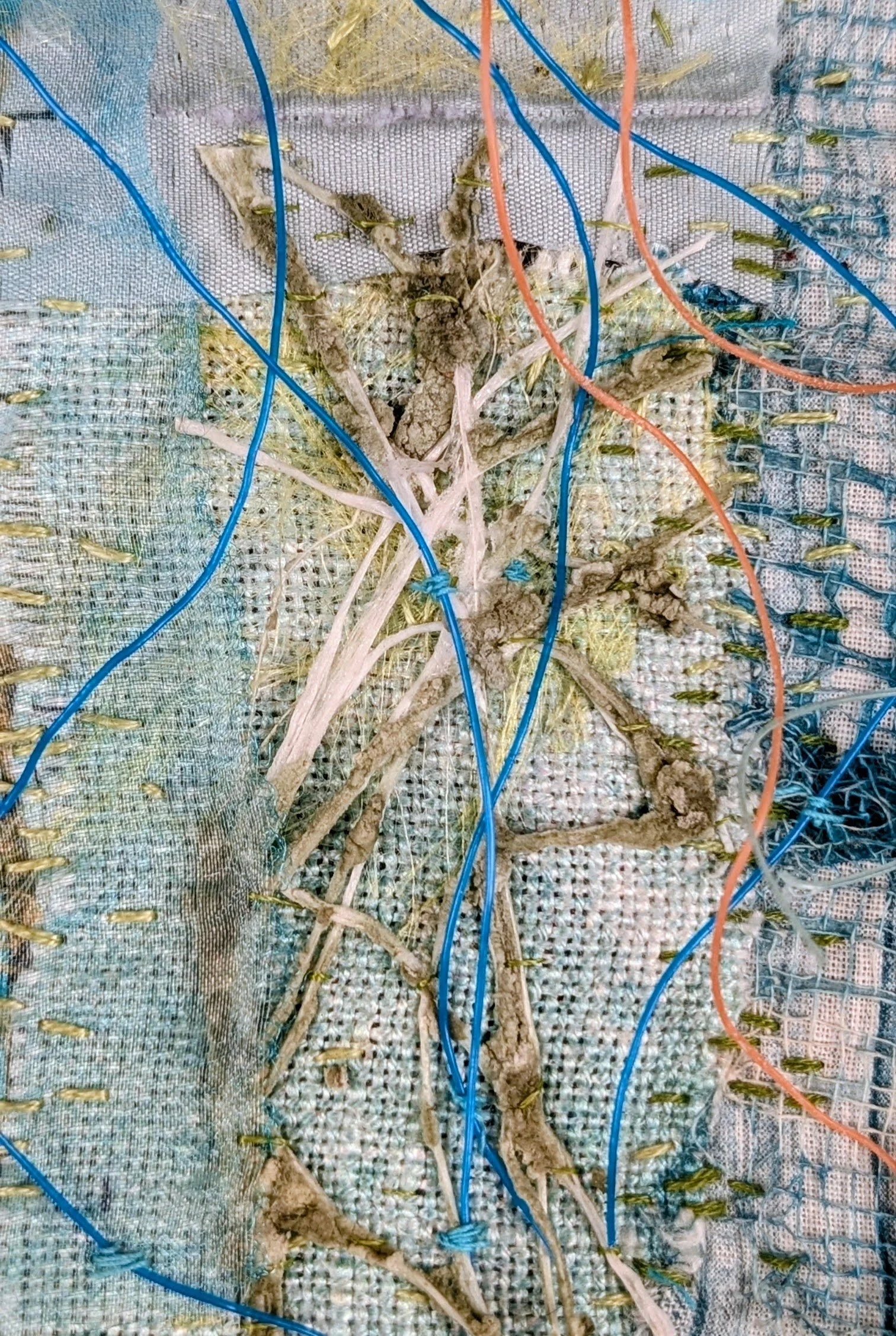 Detail of Echo Nauticia I