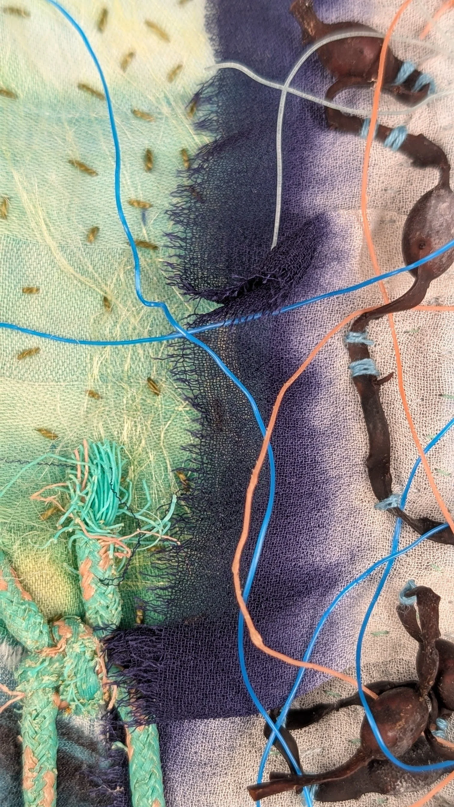 Detail of Echo Nauticia III