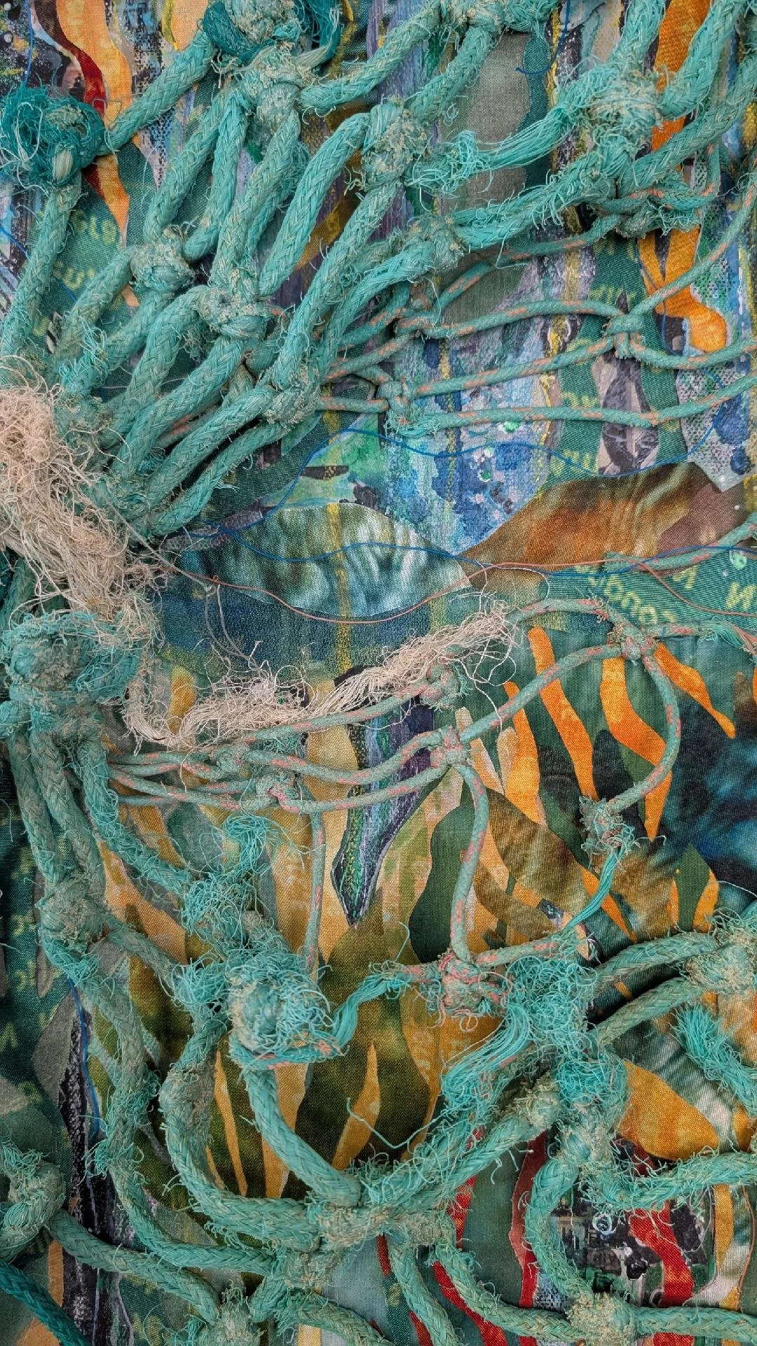 Detail of Kelp Forests