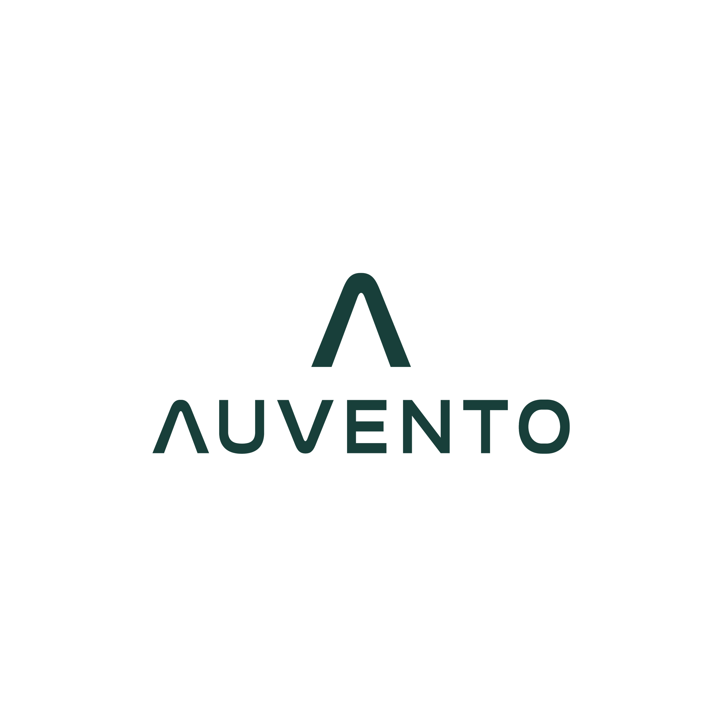 Version 2 Primary Logo