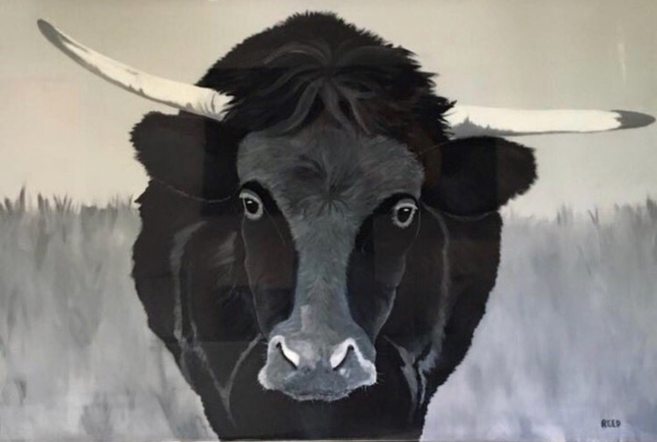 bull.jpeg