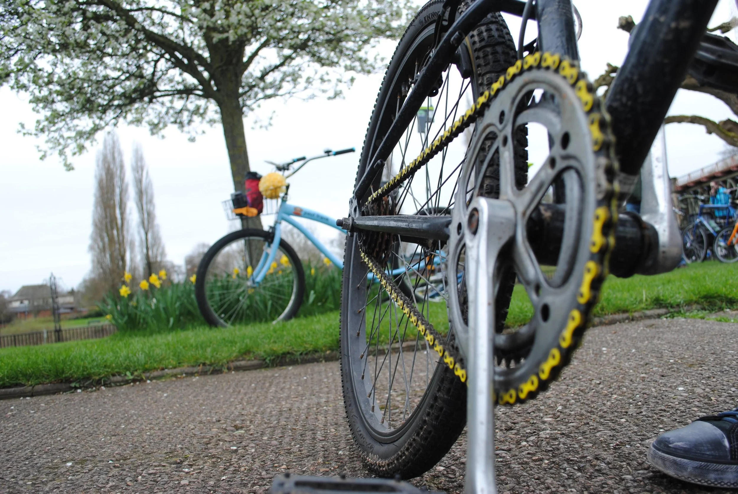 Critical Mass Cycle Ride - February 2026