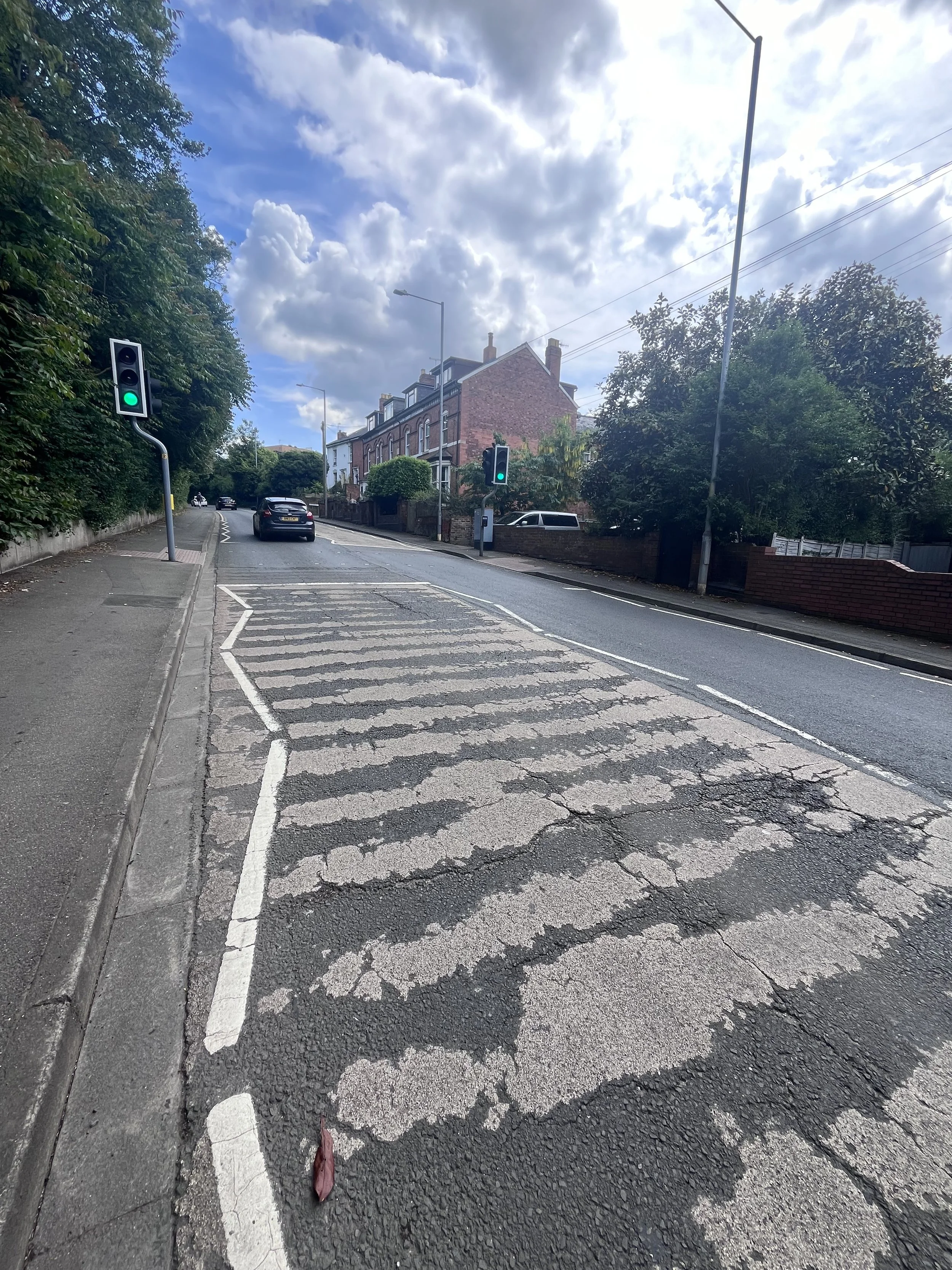 Pelican stripes.jpeg