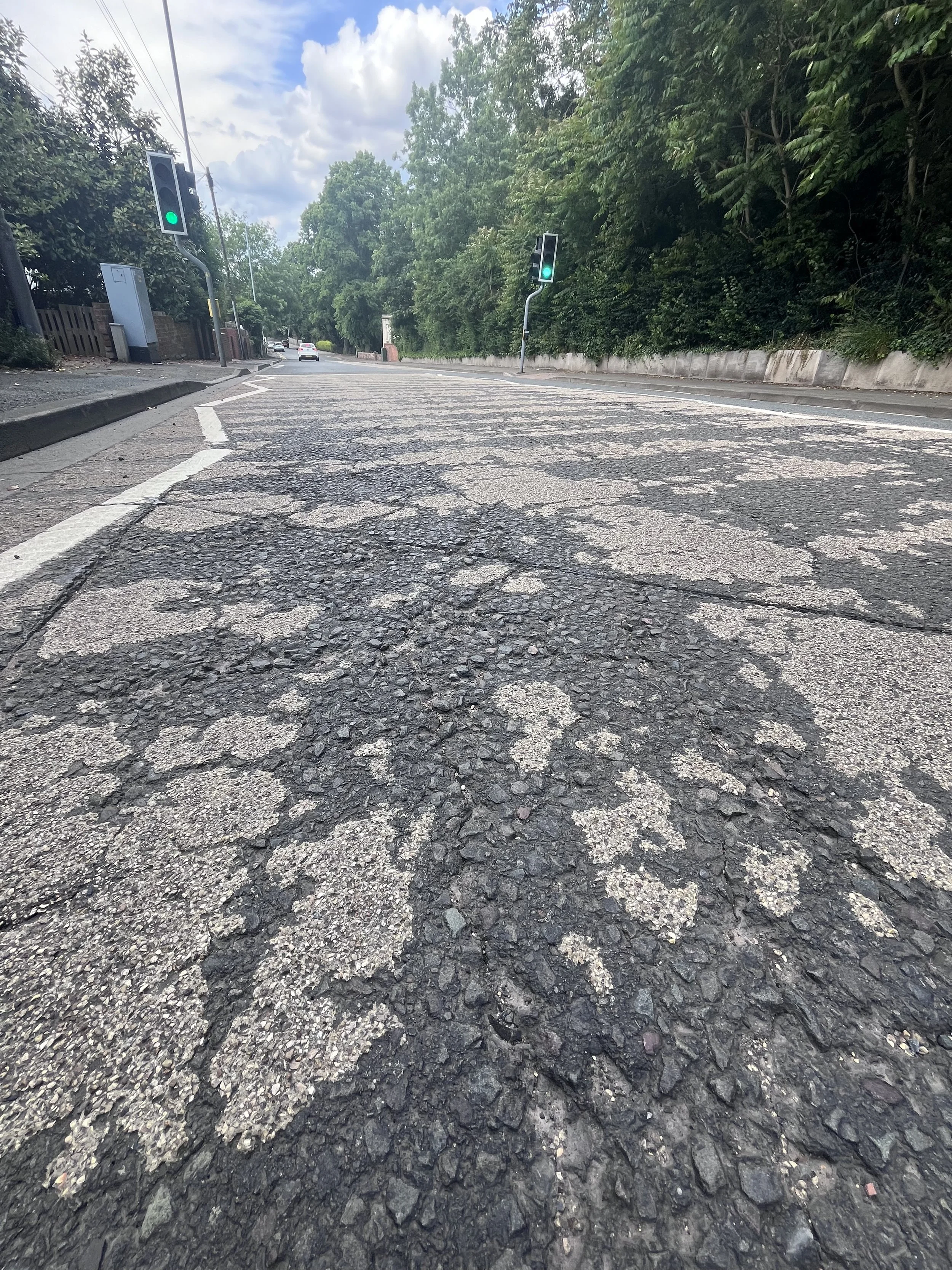 Pelican down hill poor.jpeg