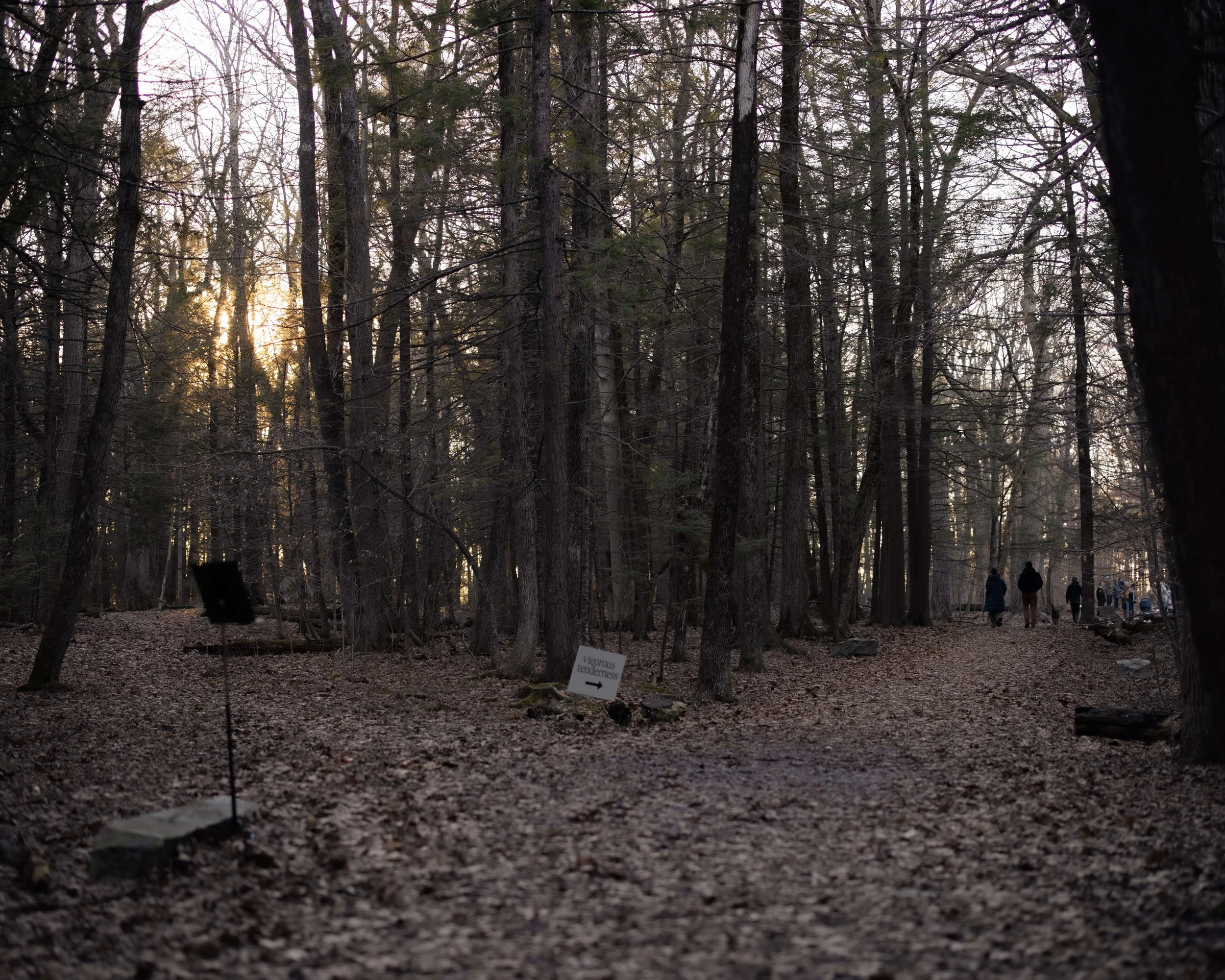 20260322_VT Spring-25.jpg