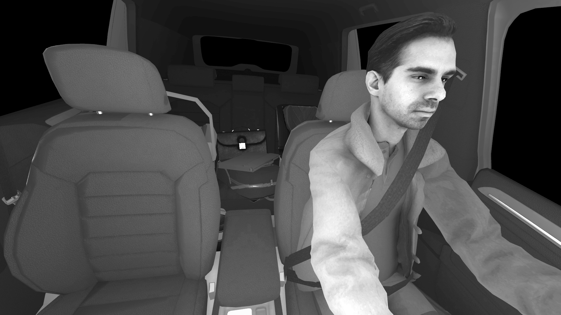 In cabin simulation of IR camera sensor.png