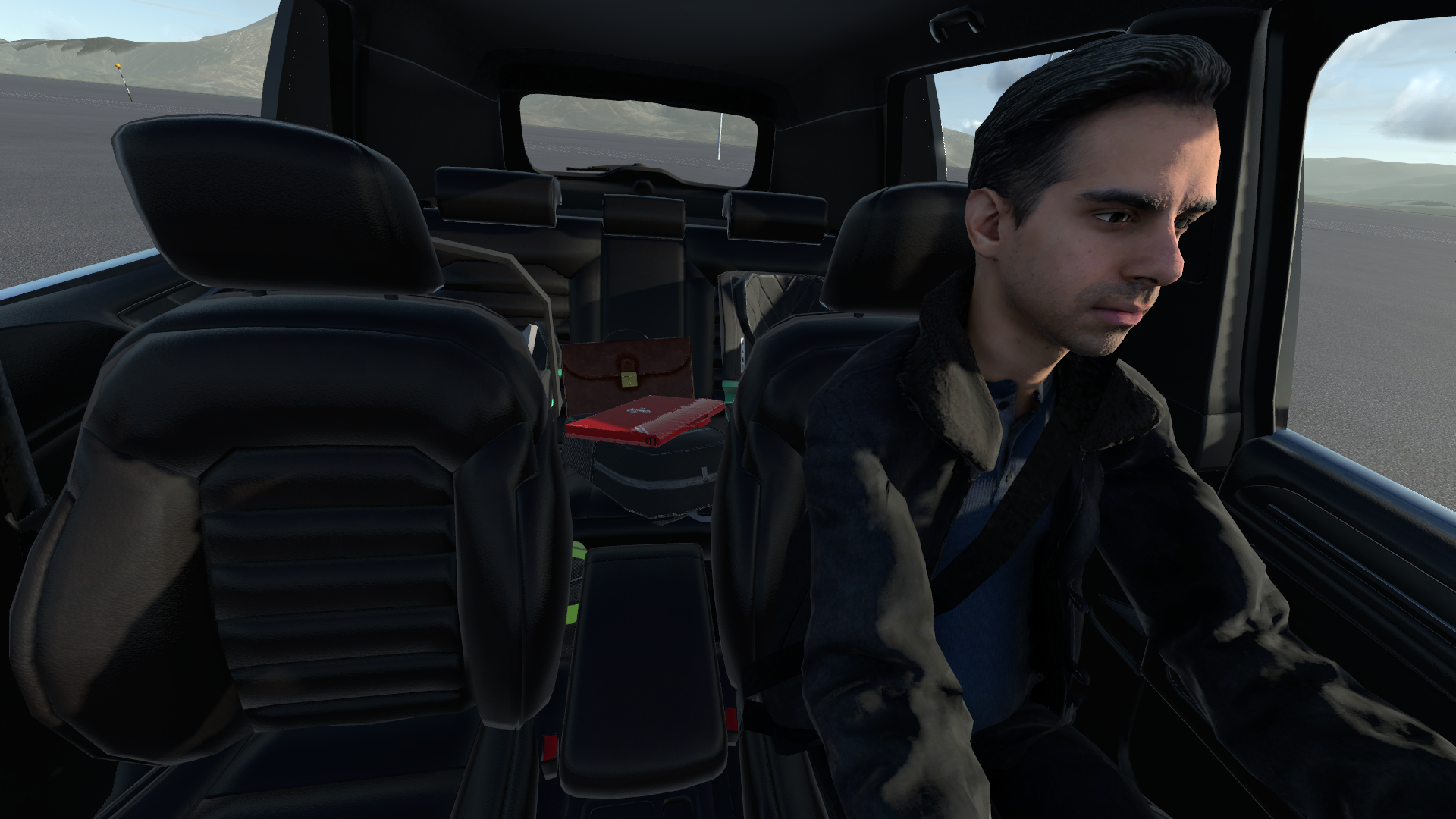 In cabin simulation of camera sensor.png
