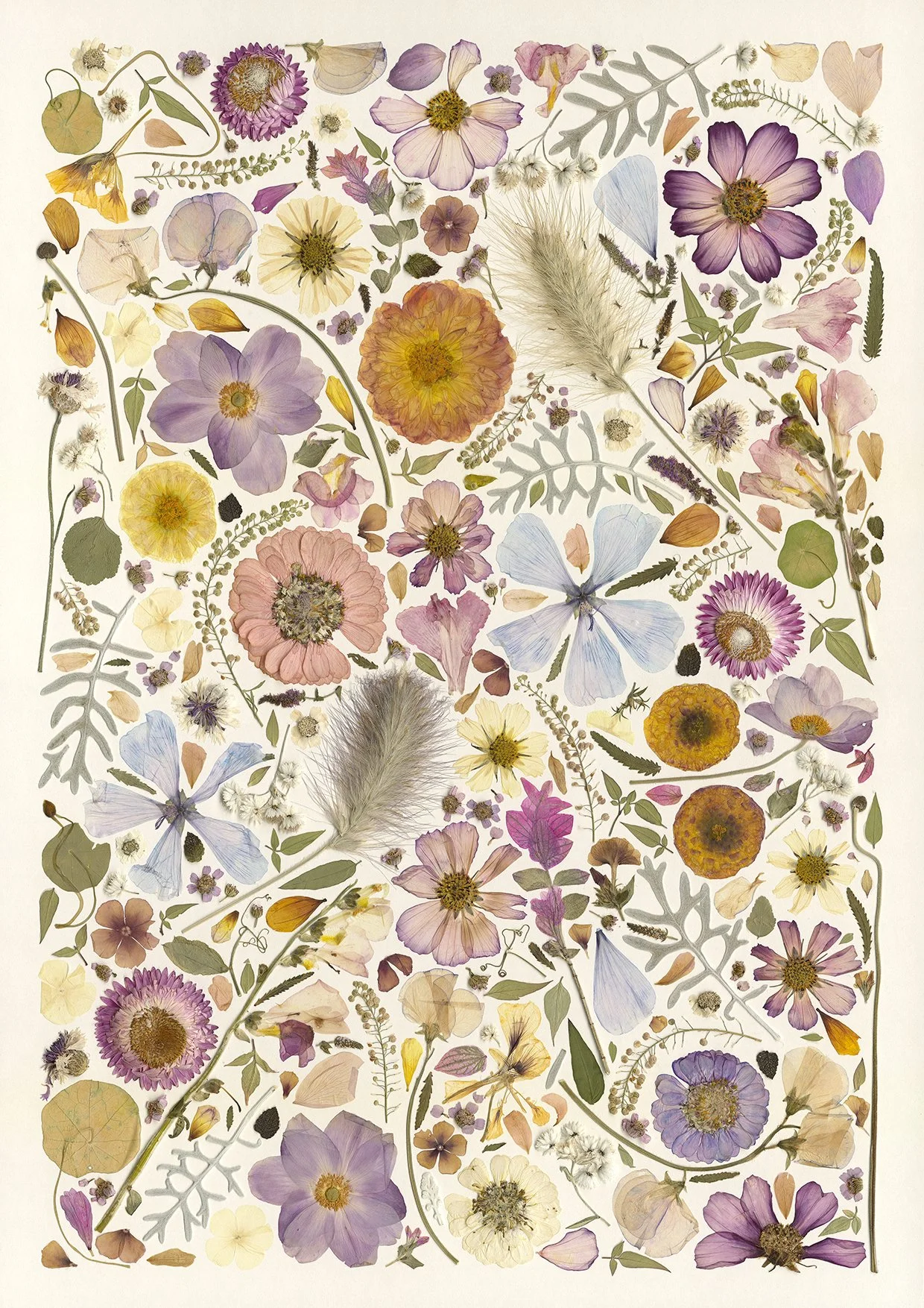 Under the lilac sky A4.jpg