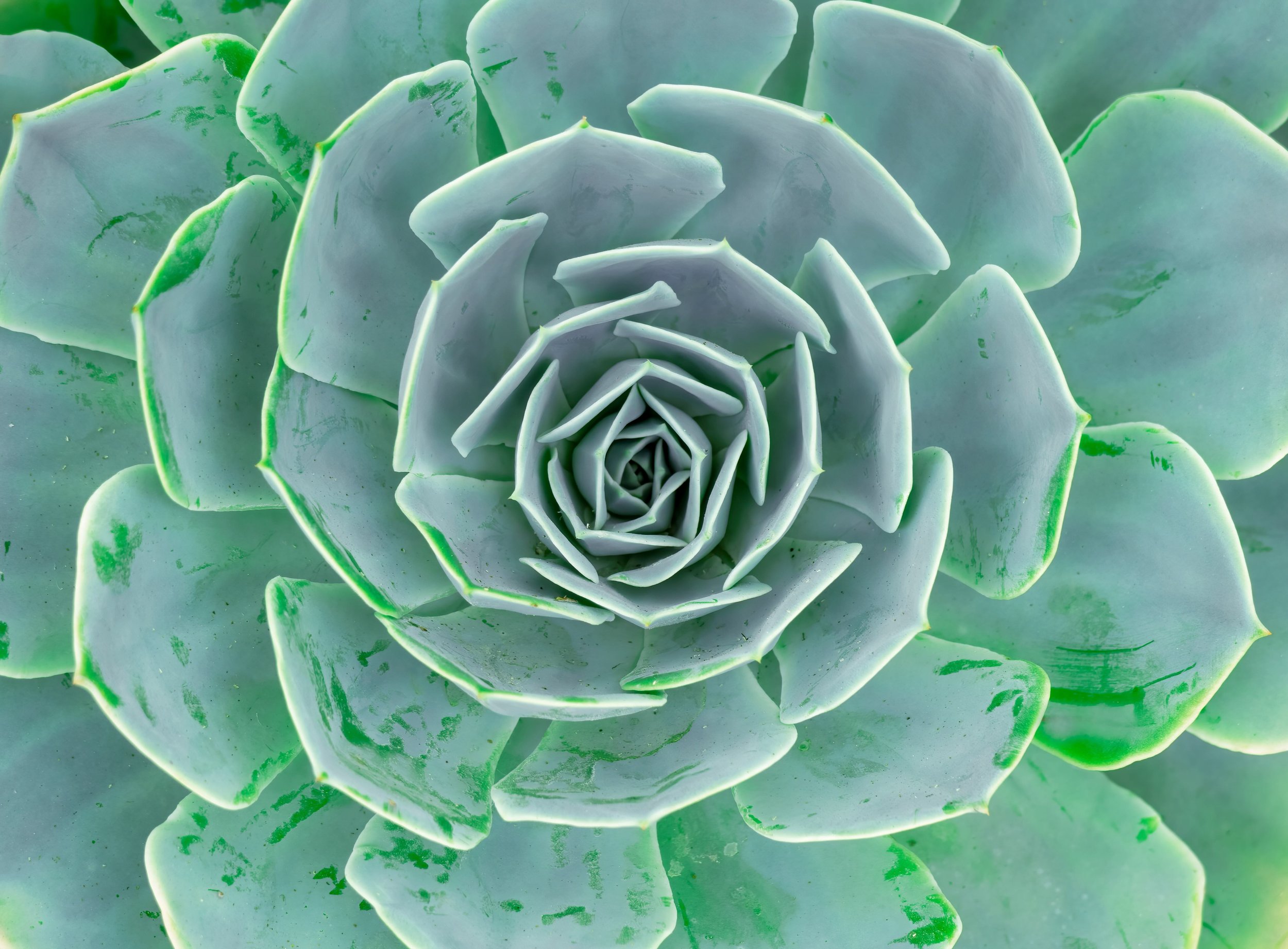 AdobeStock_452061317.jpeg