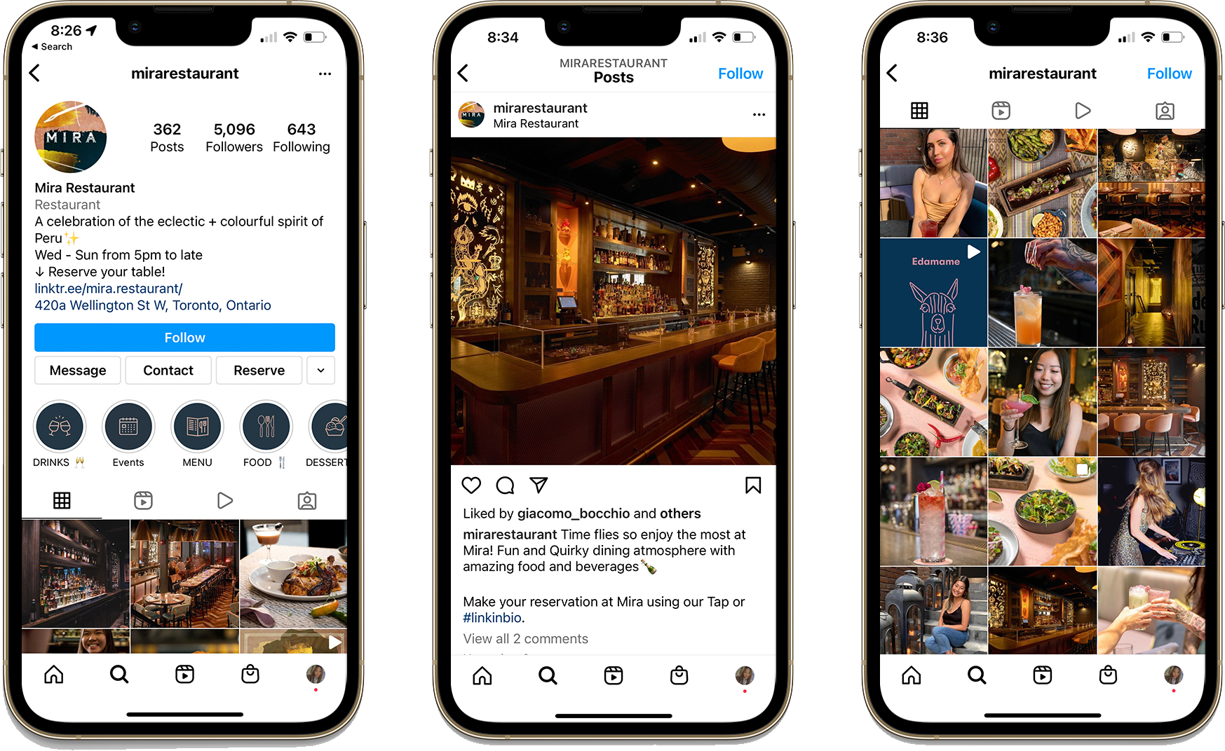 Mira- mockup copy.png