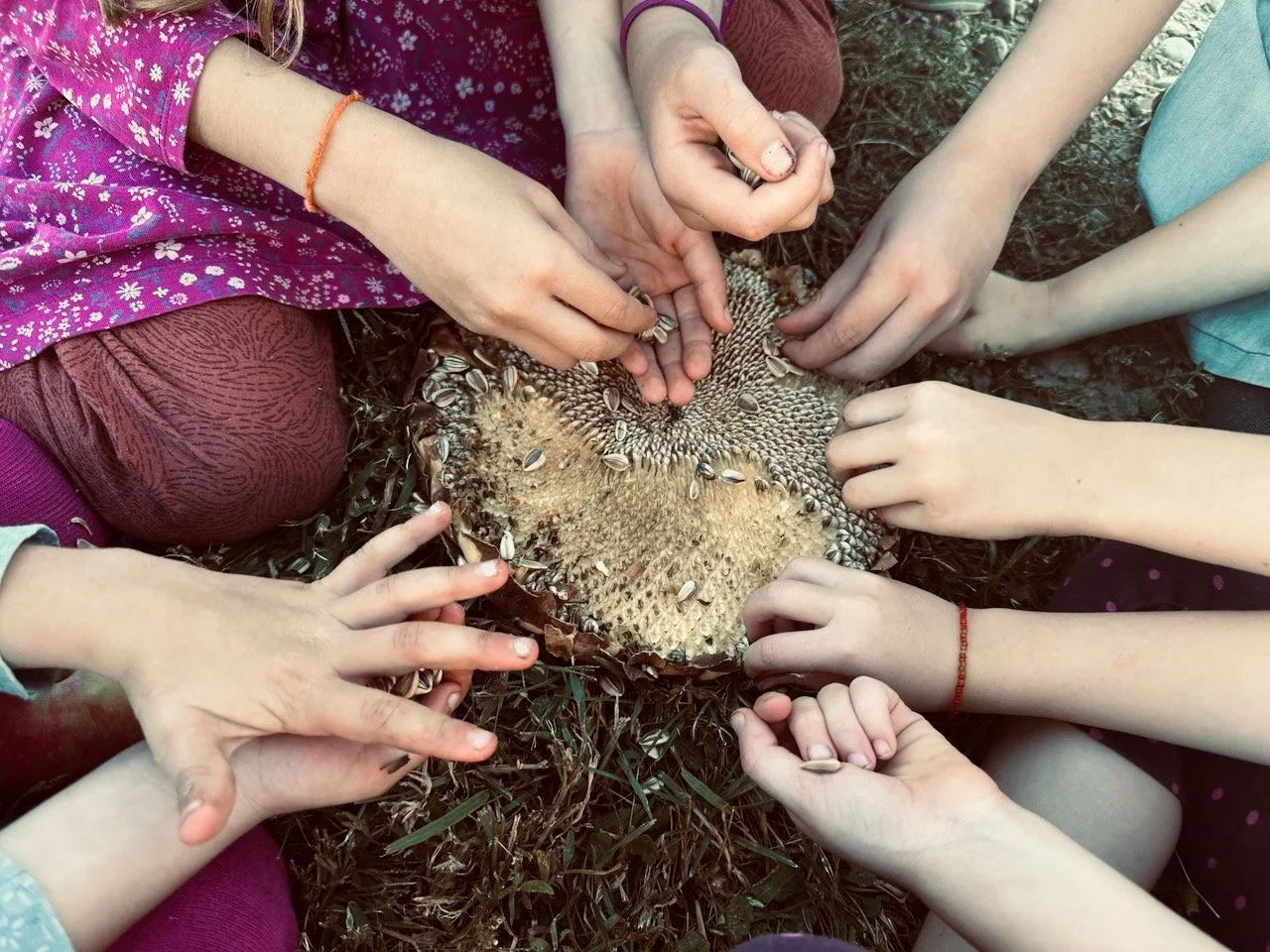 New Moon Women’s Circle