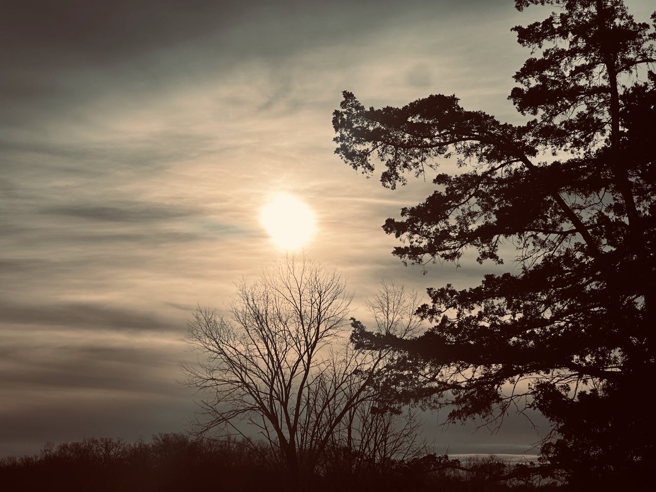 Holy Walk Christmas Eve