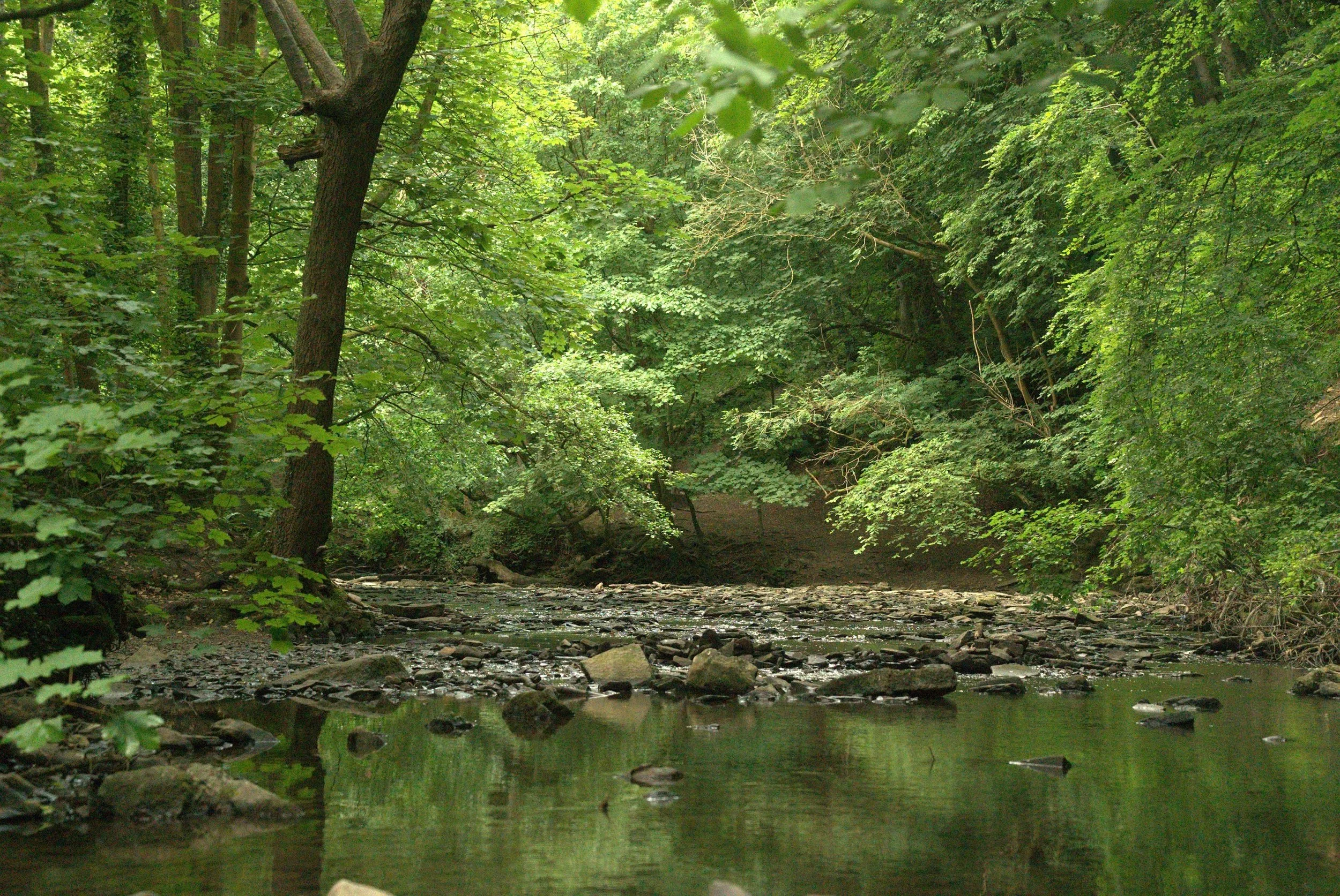 Iman Sultan West – a river soundscape