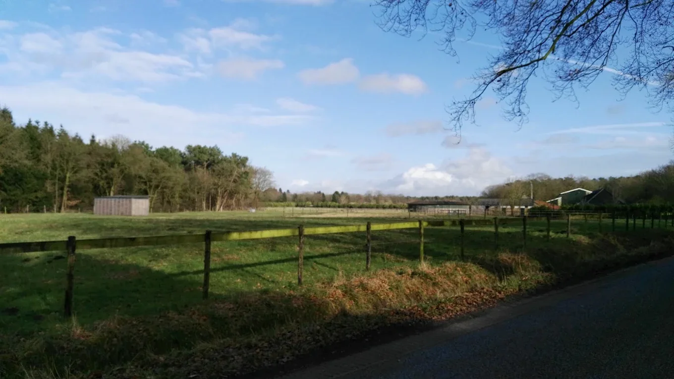 Stal de Wit.webp