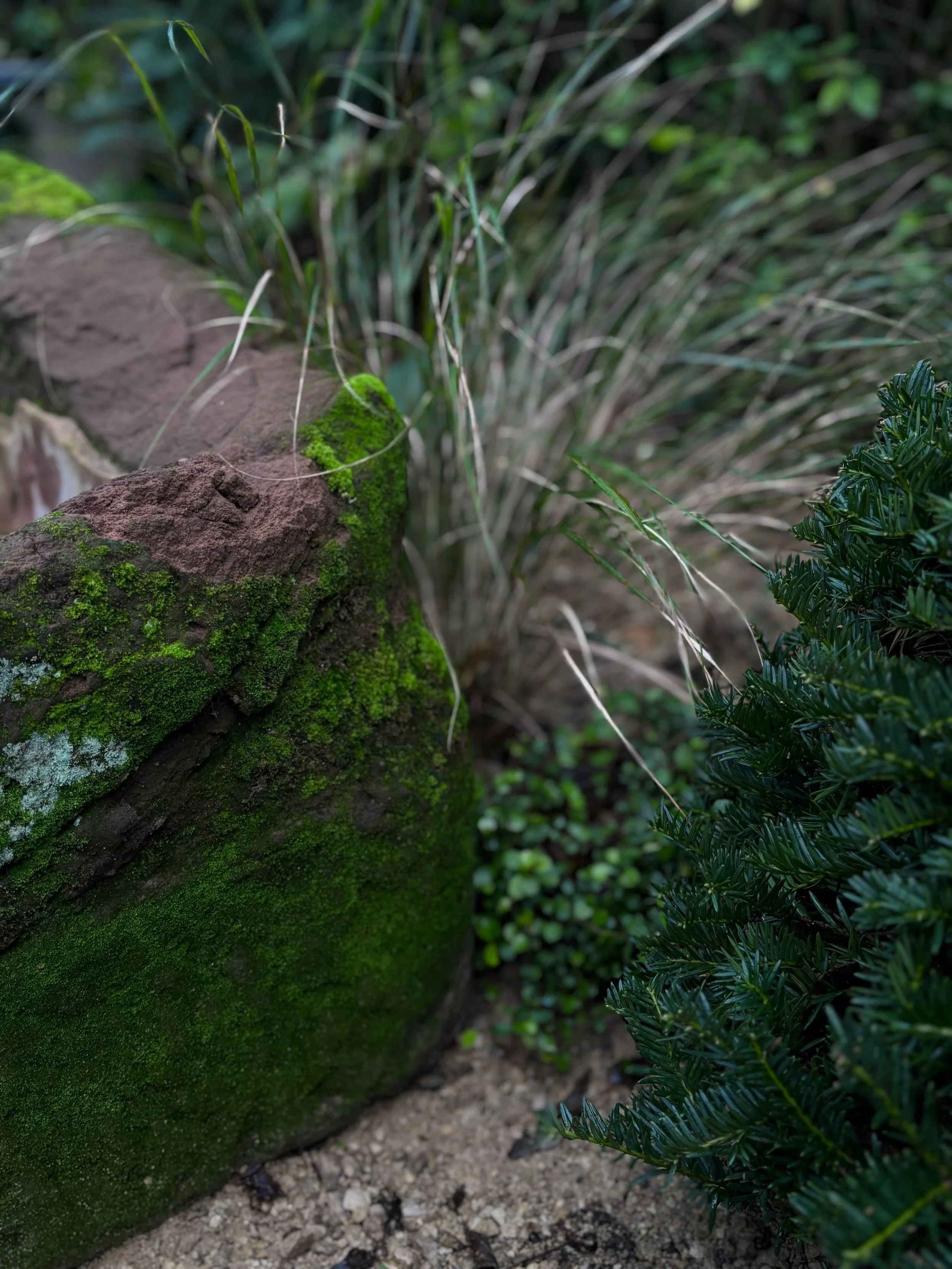 MAIDA VALE - IN PROGRESS