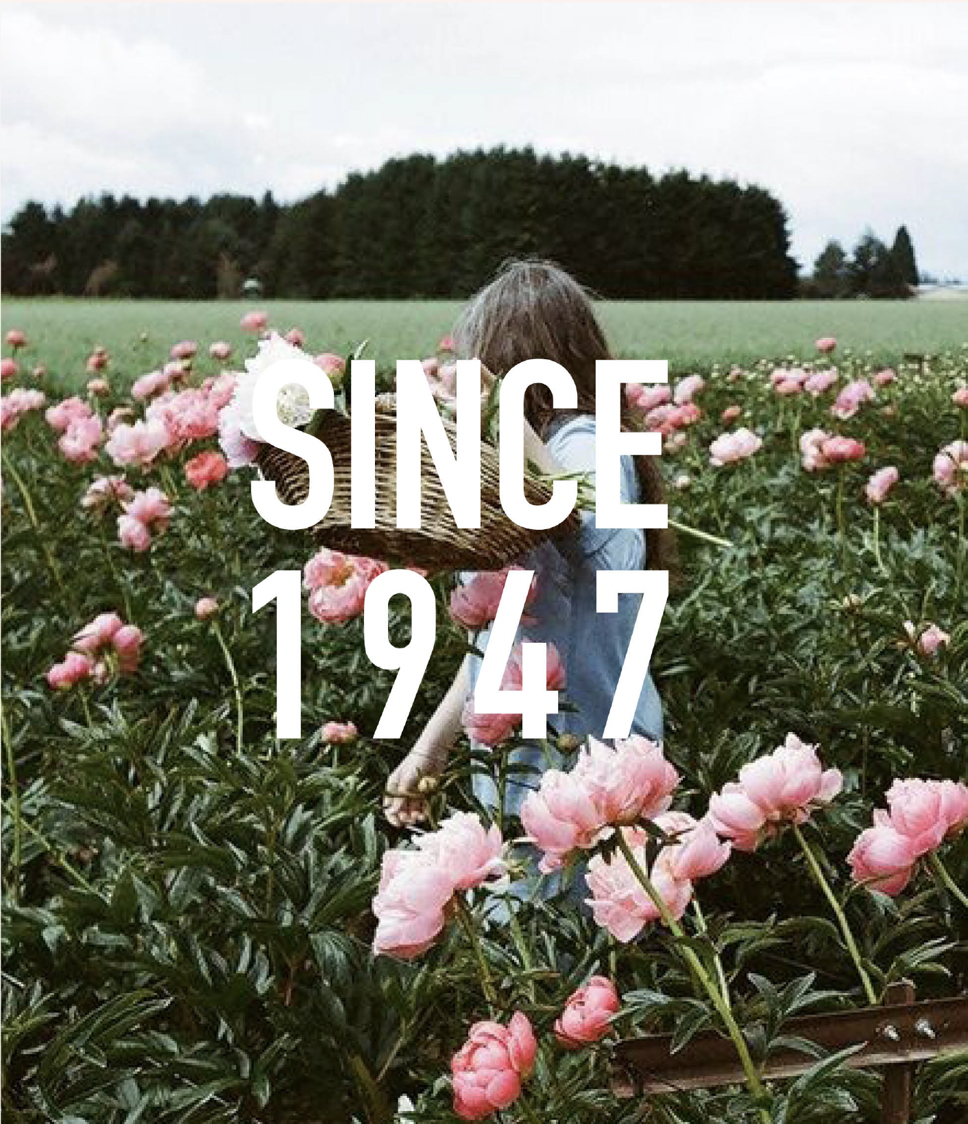 Miss Dior: Since 1947