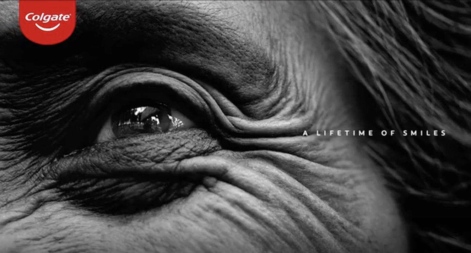 A lifetime of smiles: an elderly eye