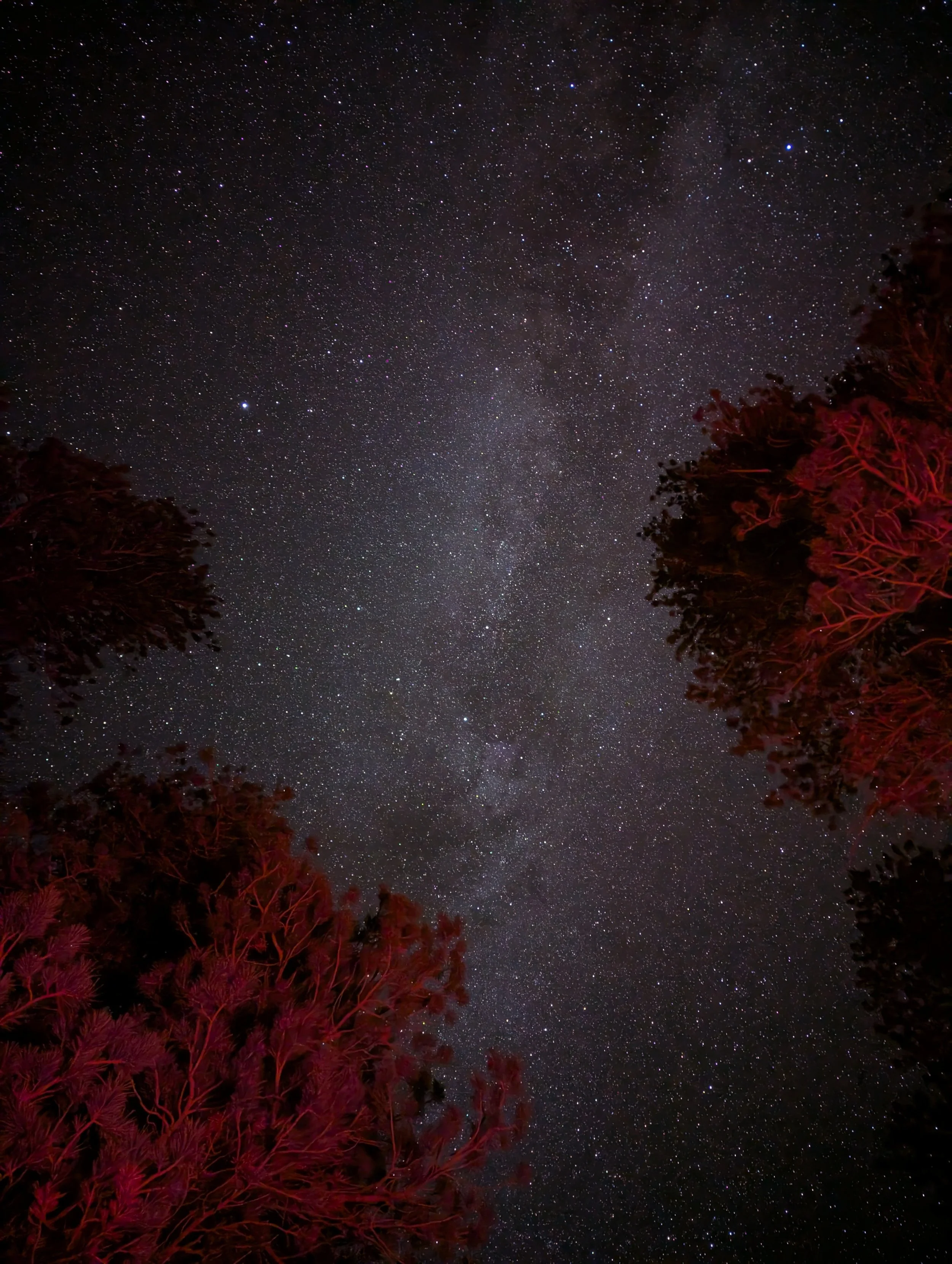 Yosemite | 2025.09.21