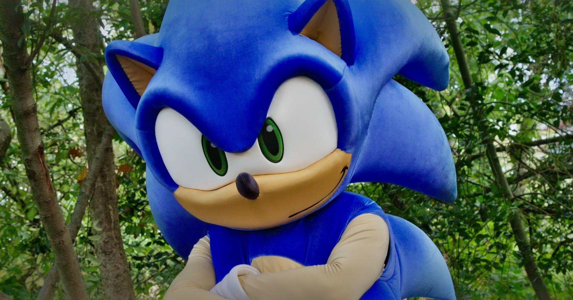 Person in a Sonic the Hedgehog costume standing outdoors with trees and green foliage in the background.
