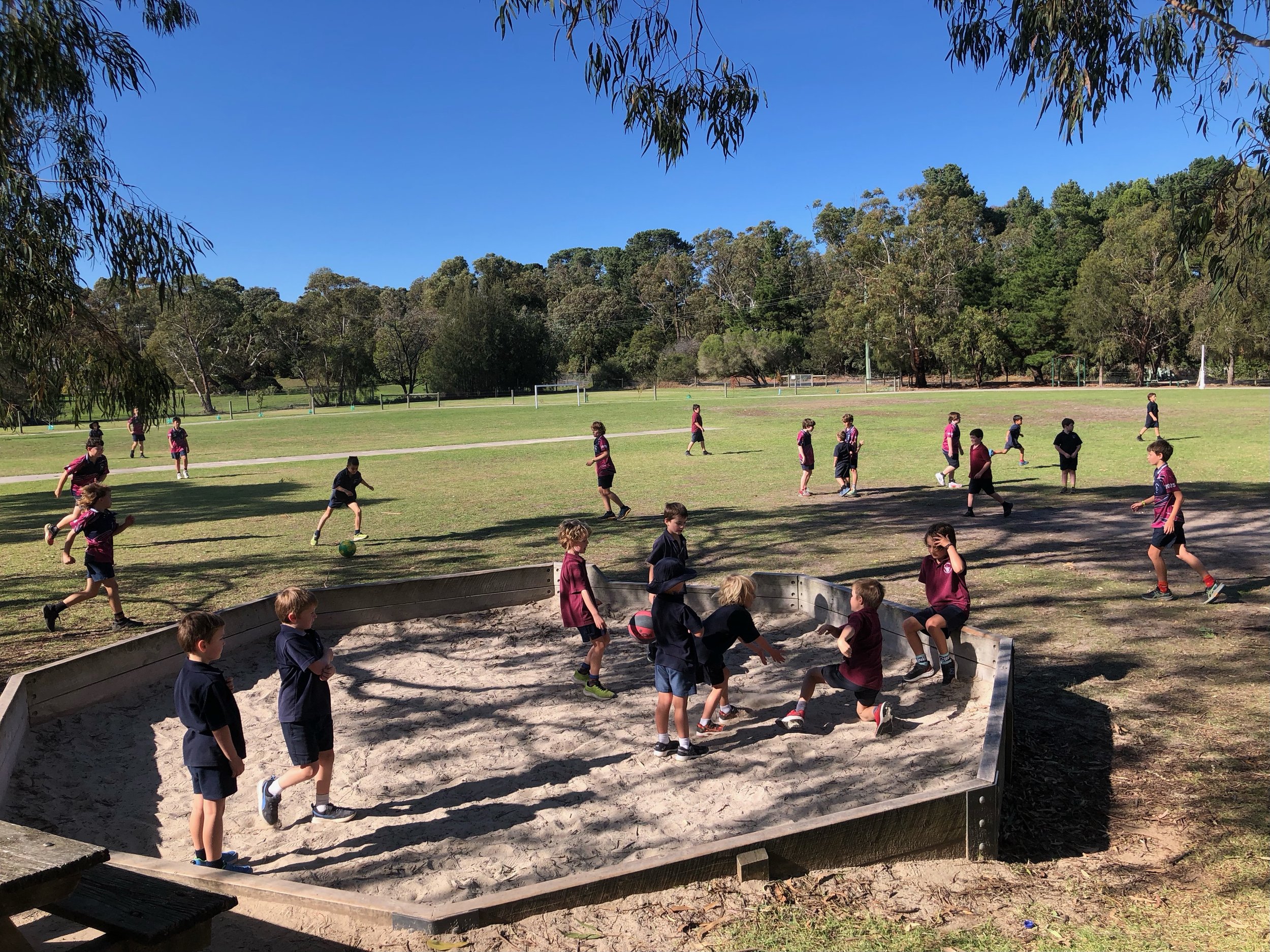 Wallington P.S. Newsletter Term 2 Week 3 2025