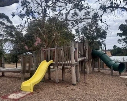 Wallington P.S. Newsletter Term 1 Week 4 2026 