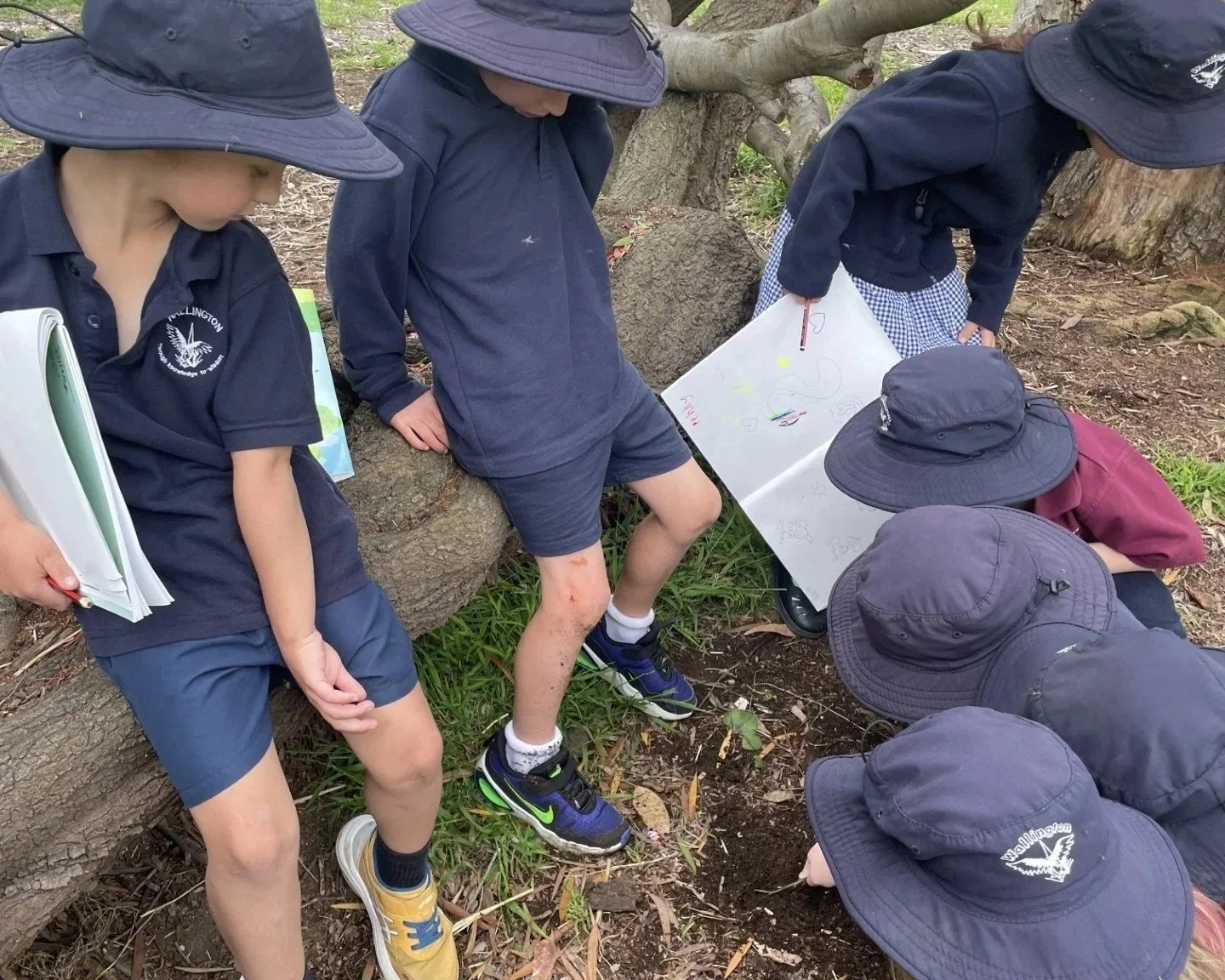 Wallington P.S. Newsletter Term 4 Week 9 2025 