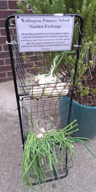 garden exchange.png
