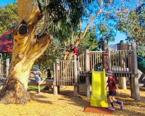 Wallington P.S. Newsletter Term 2 Week 9, 2026. 
