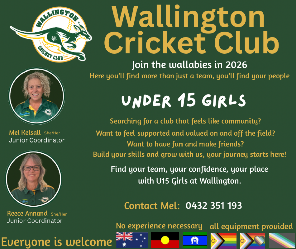 cricket 2.png