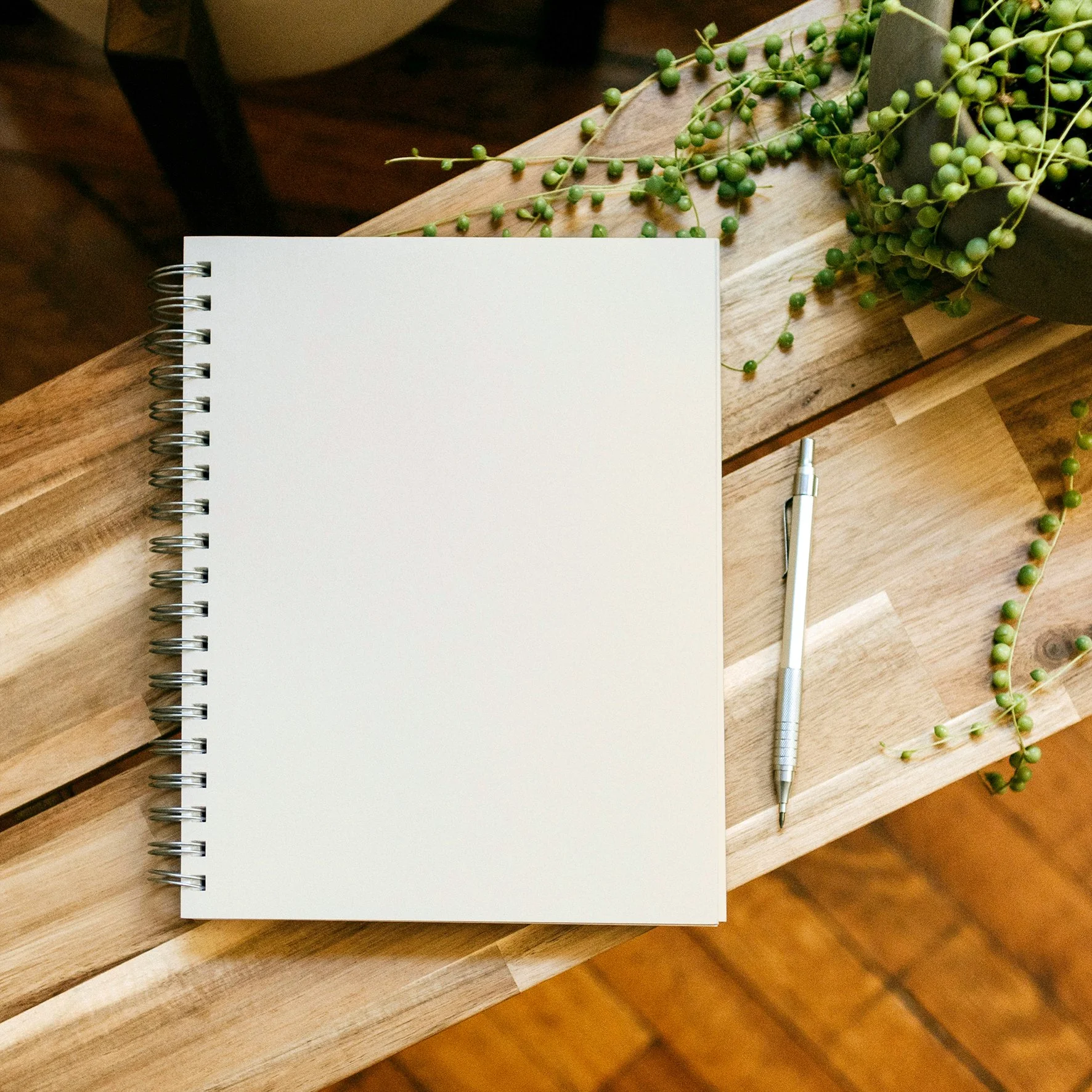 Inside_Notai_U.jpg (Copy) (Copy)