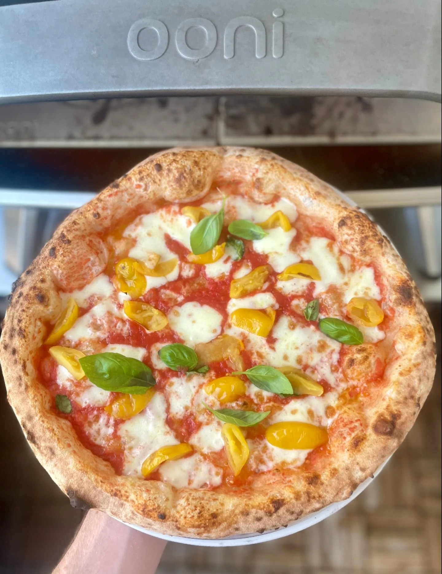ZUTATEN
.
San Marzano Tomaten🍅
Fior di Latte Mozarella
Oliven&ouml;l
Basilikum
Pomodorini gialli di vesuvio
.
Die gelben Cherrytomaten heben die Margherita nochmal auf ein anderes Level. Wir haben sie dieses Mal mitgebacken, man kann sie aber auch n