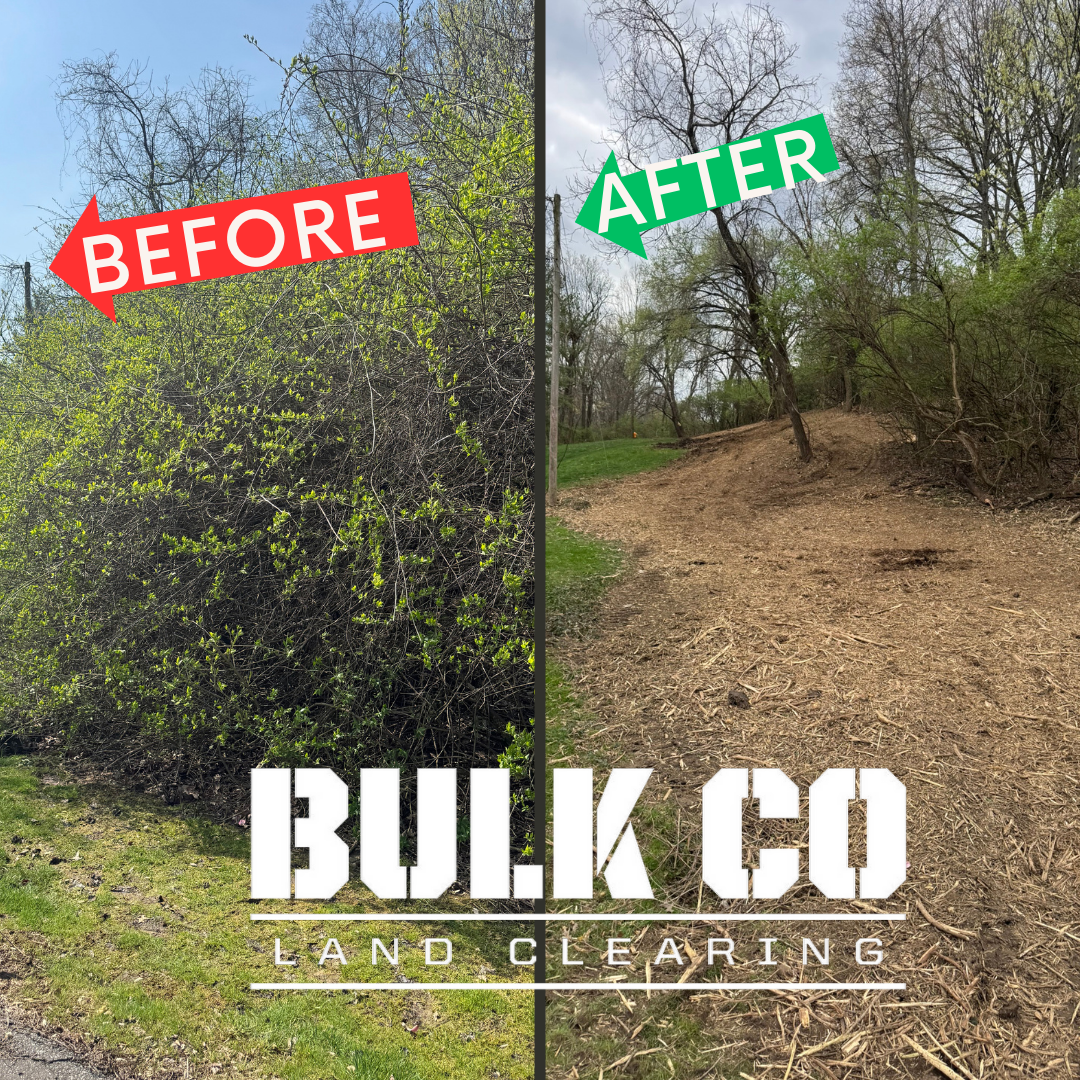 Forestry Mulching for Homeowners – A Clean, Affordable Land Clearing Solution