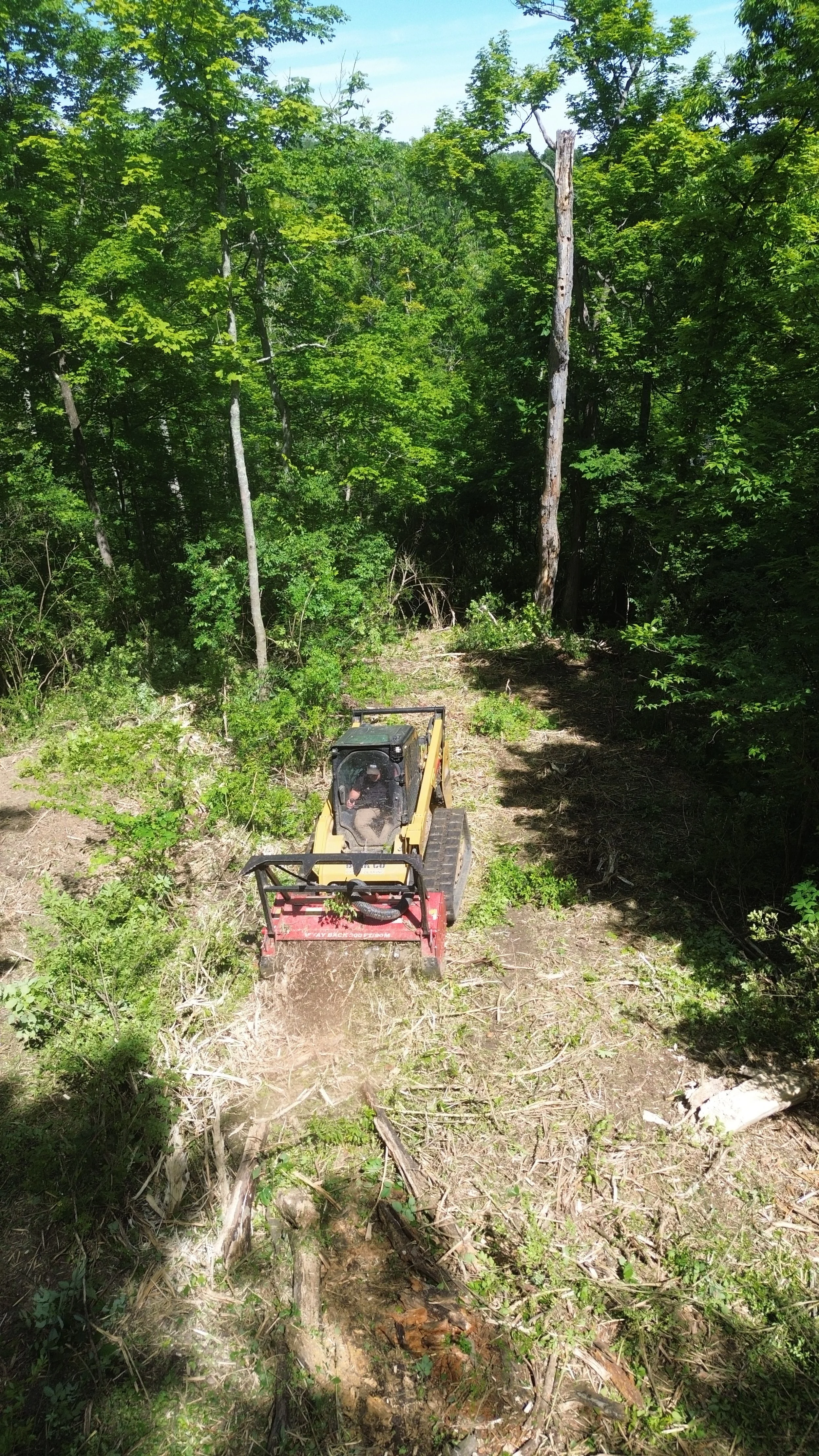 Forestry Mulching for Farms: Reclaim Pastures, Clear Fence Lines &amp; Maintain Woodland