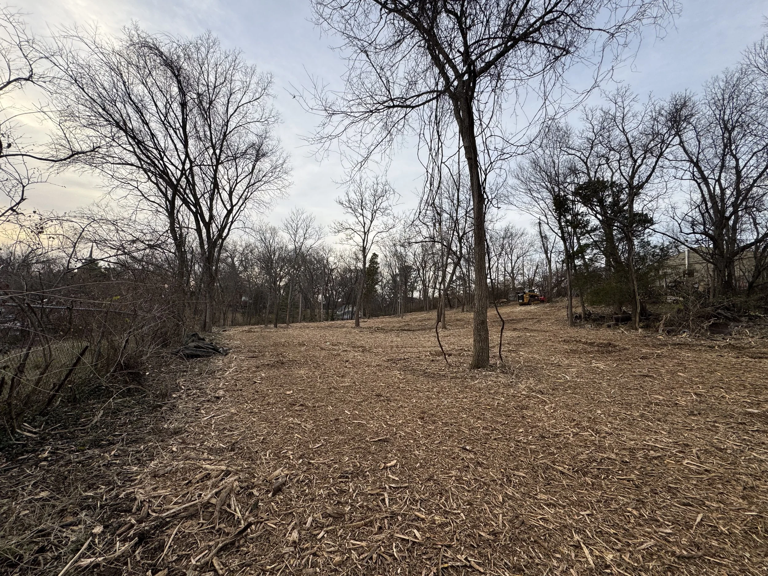 Forestry Mulching for Survey Access in Cincinnati: Fast, Clean Land Prep for Geotech and Survey Teams