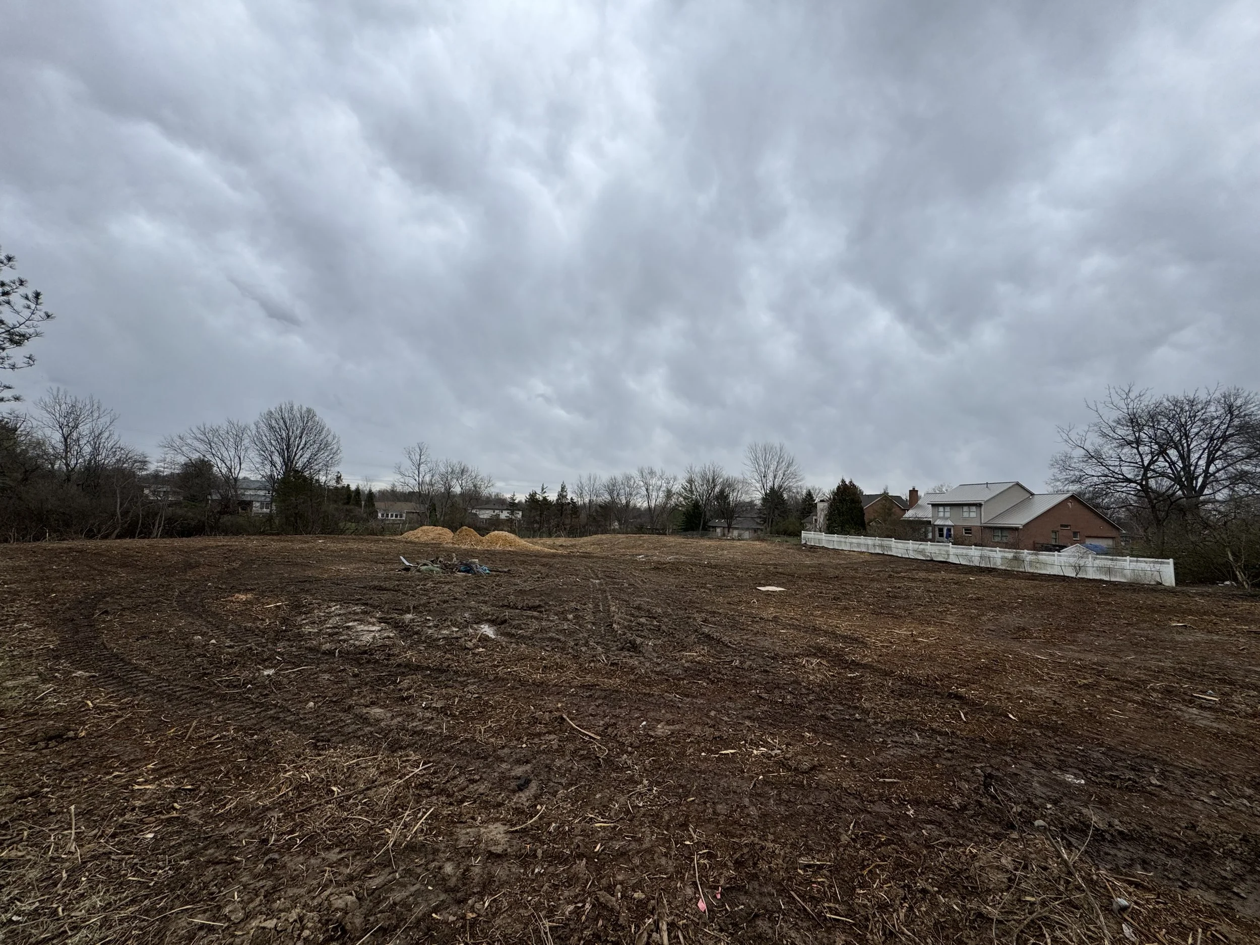 Land Clearing after shot