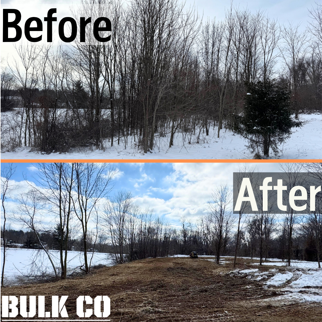 Side-by-side comparison of a wooded area that was forestry mulched using a Fecon Drum Mulcher. Removing invasive species
