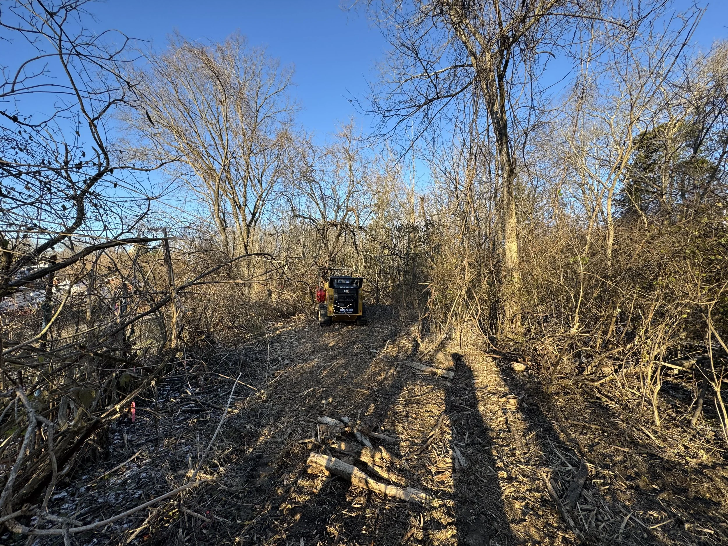 Lot before clear ground